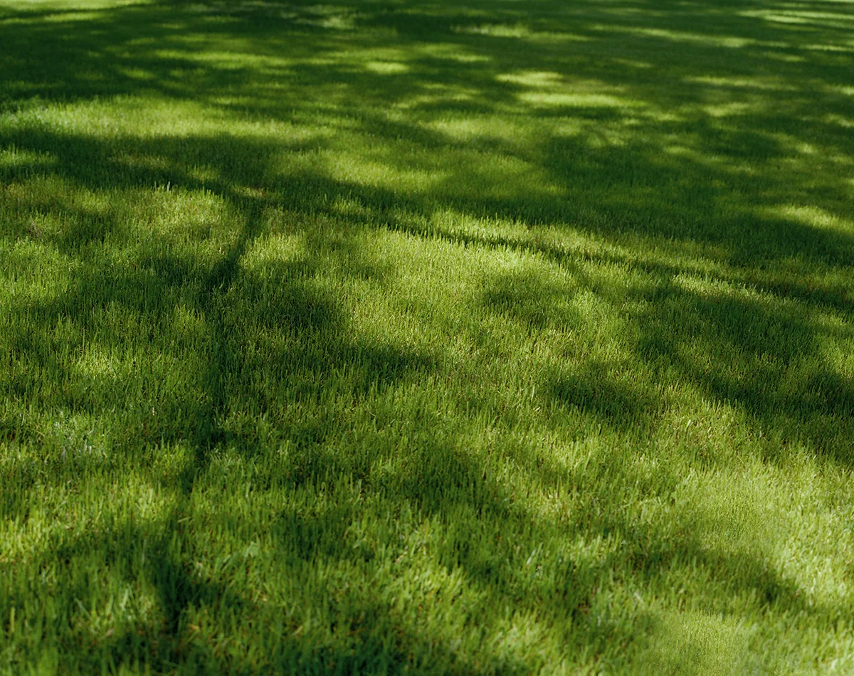 Shadowtackle