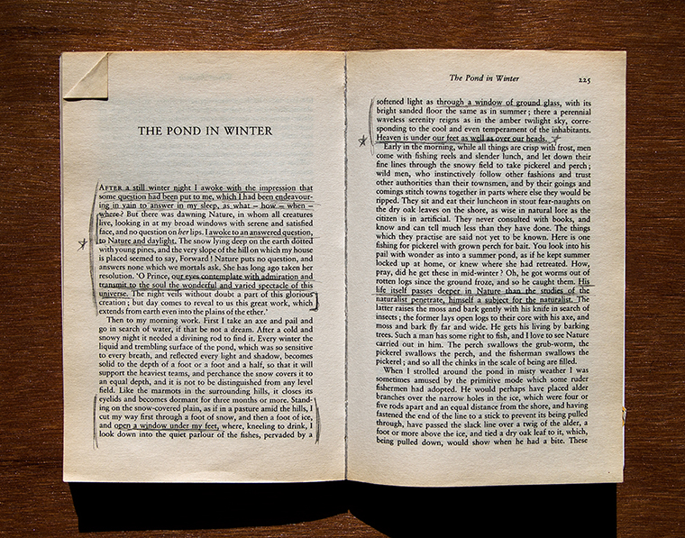  Pages from  Walden; or, Life in the Woods  by Henry David Thoreau 