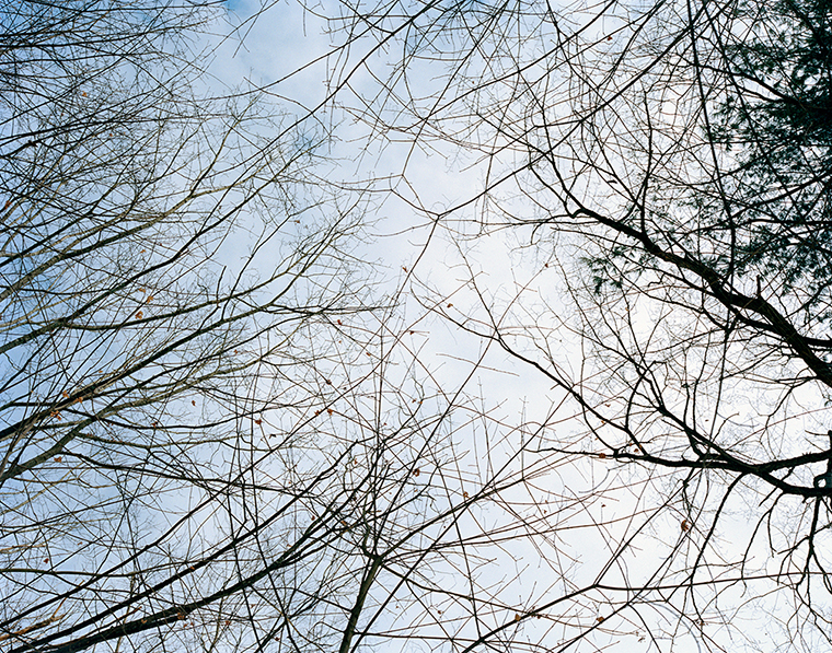  Walden Woods, Winter 