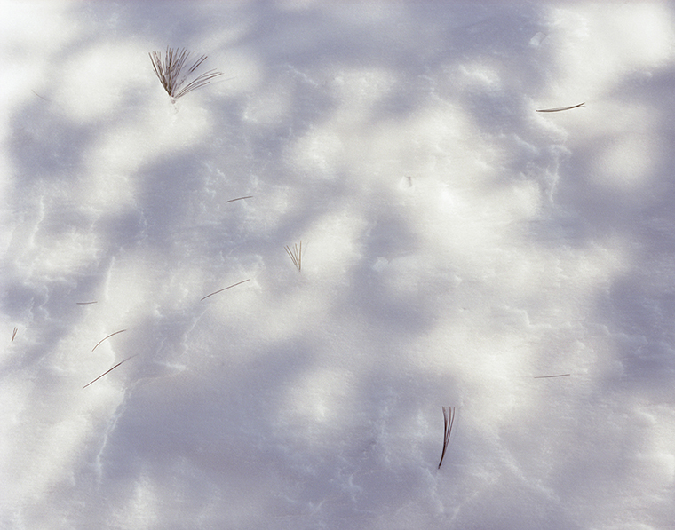  Walden Pond, Winter 
