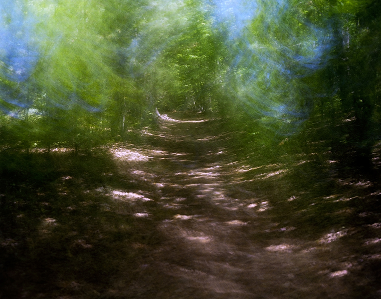  Path to Emerson’s Cliff, Walden Pond, Spring 