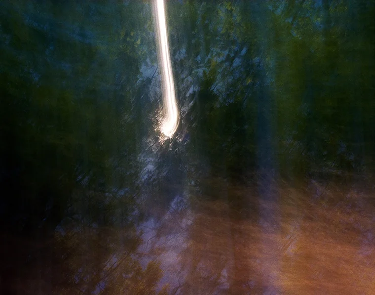Walden Woods, Summer