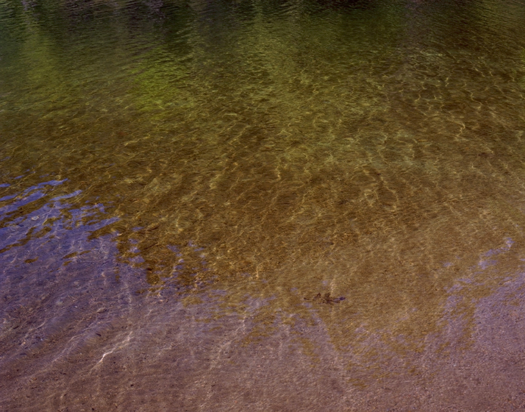 Walden Pond, Summer 