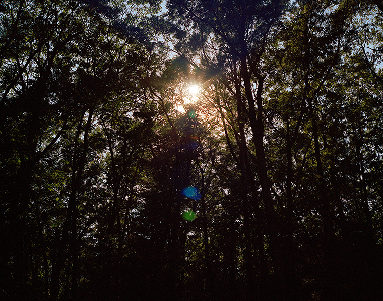  Sunrise, Walden Woods 