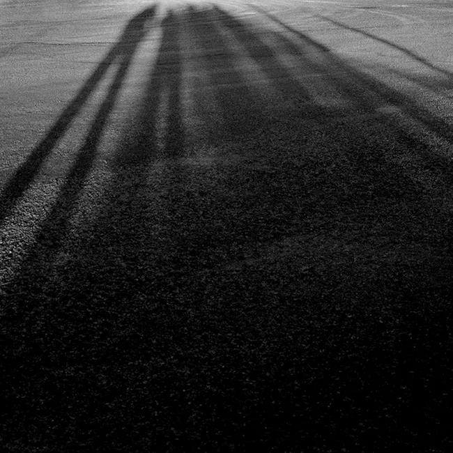 Waiting for Sunset