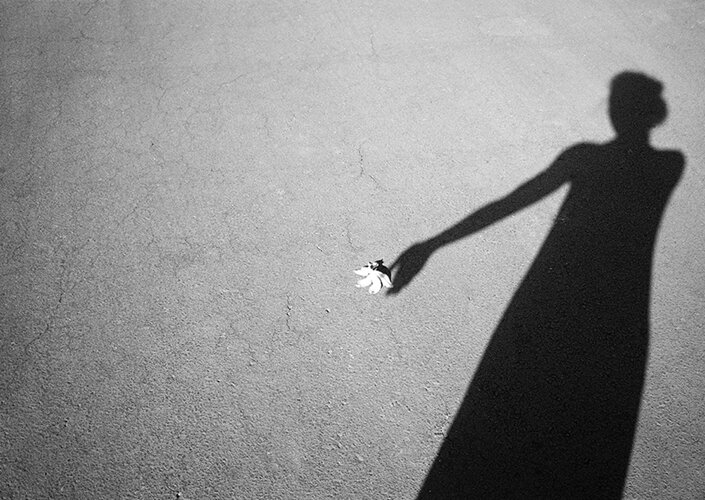 Katherine Squier, Untitled-2012 (shadow)