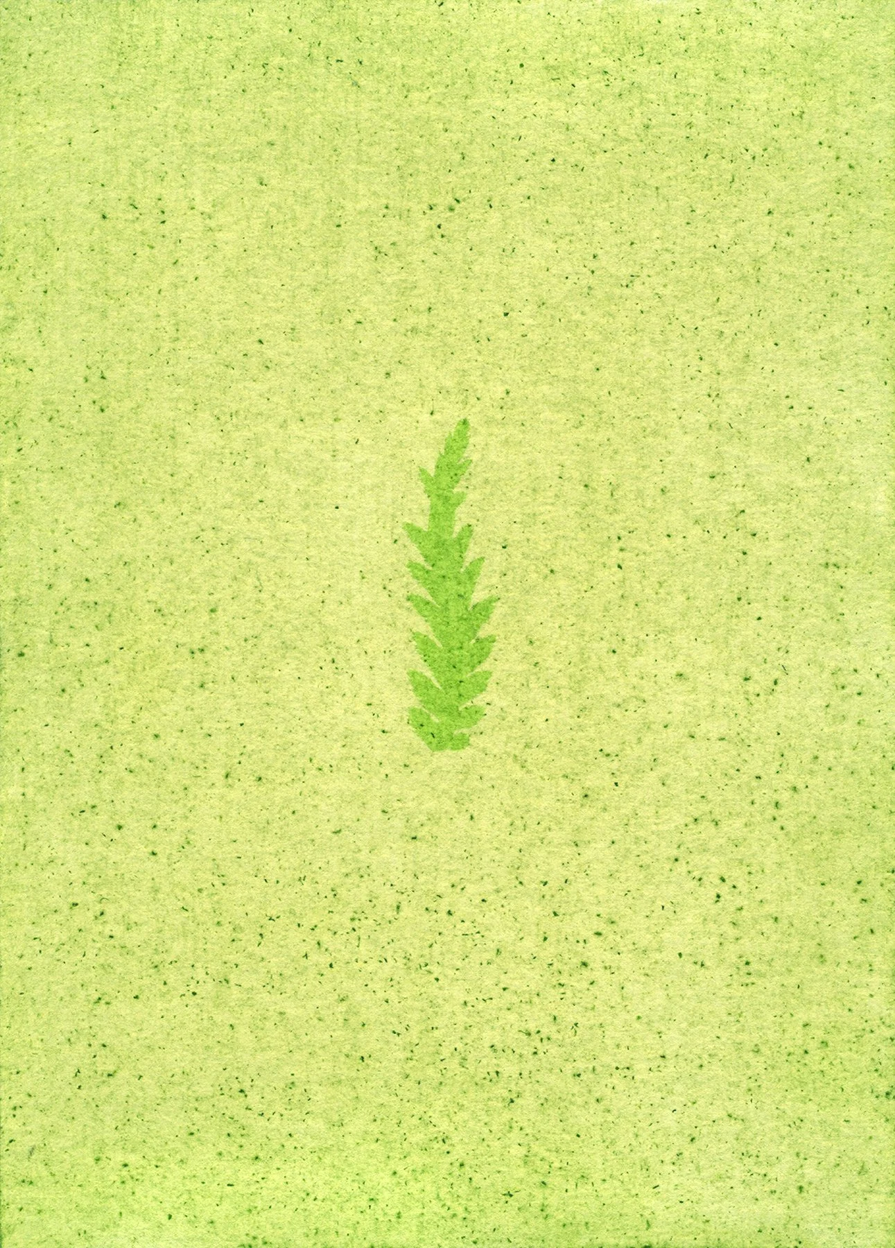 Fern Fragment from Carolina Memorial Sanctuary