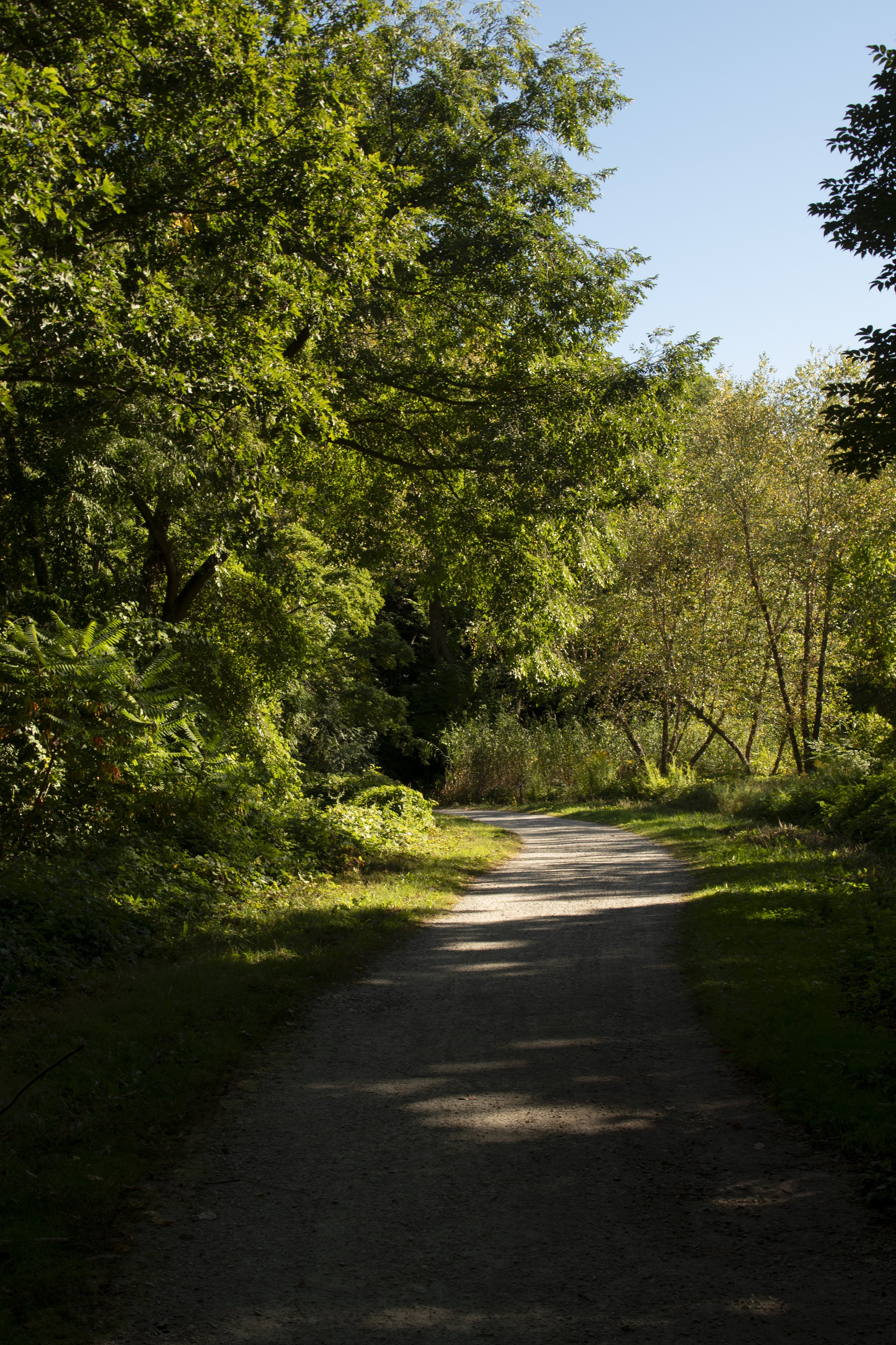 Boston Urban Wild 09-13, Bussey Brook, Jamaica Plain