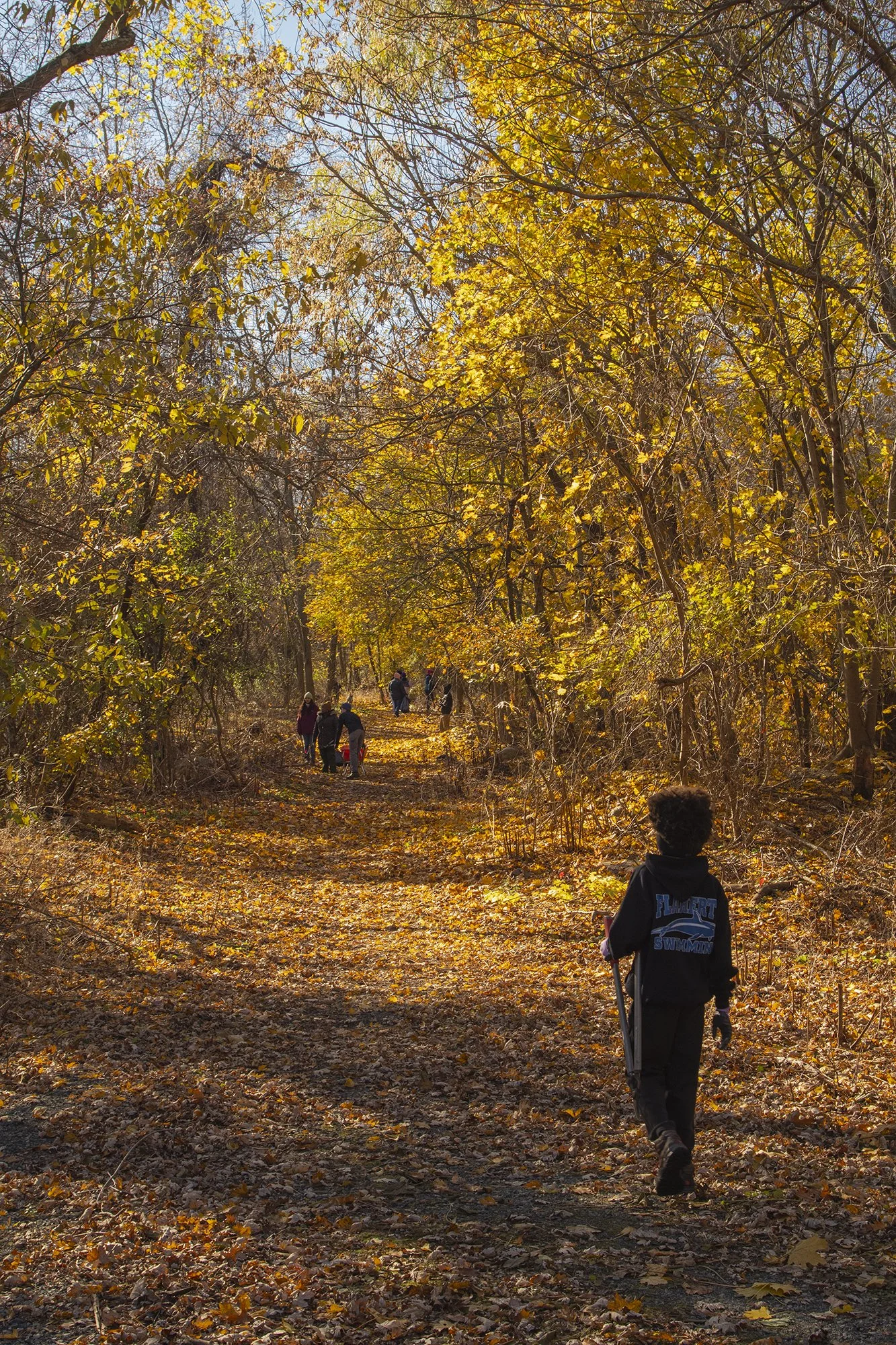 Sherrin Woods Urban Wild (Hyde Park)