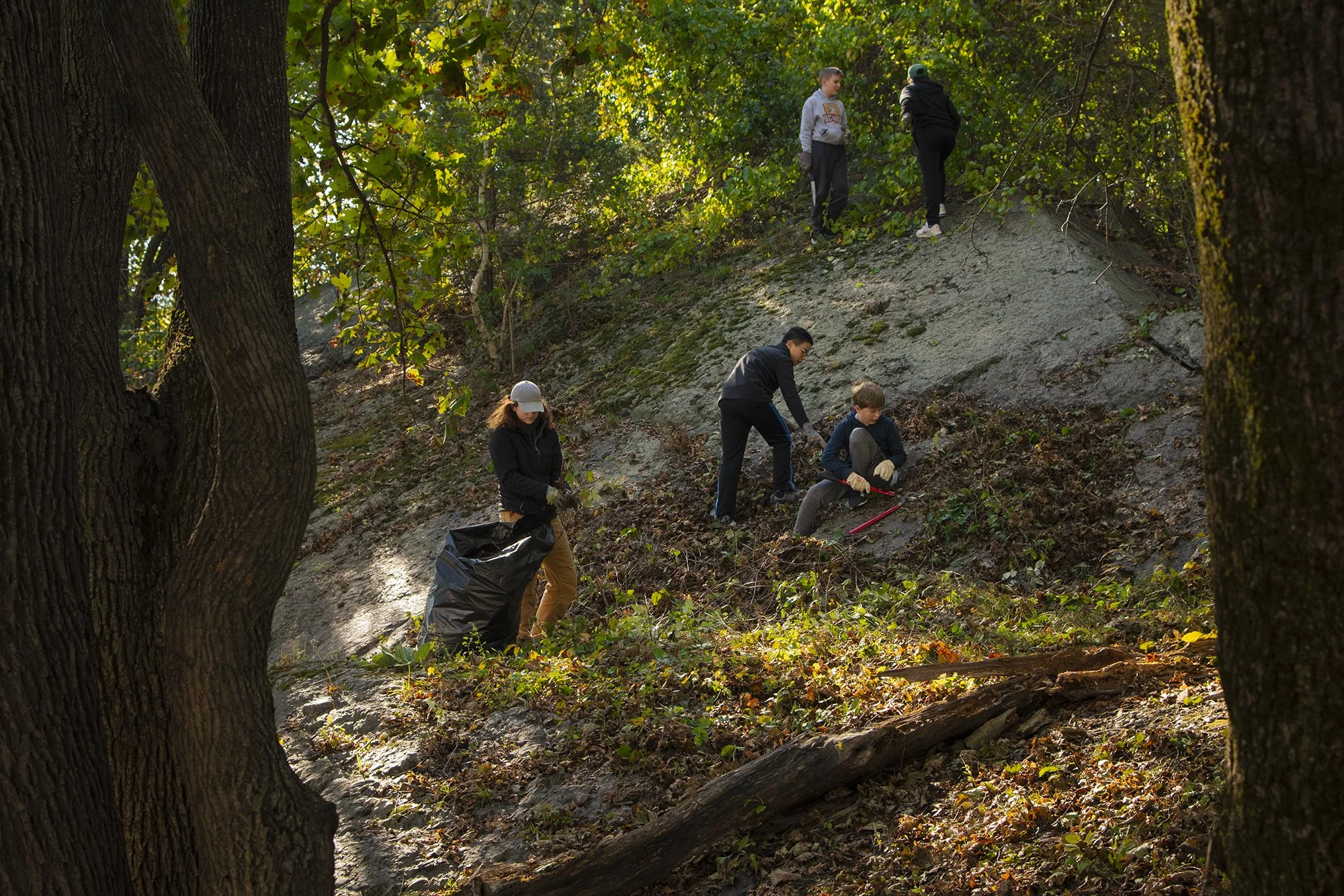 Geneva Cliffs Urban Wild (Dorchester)
