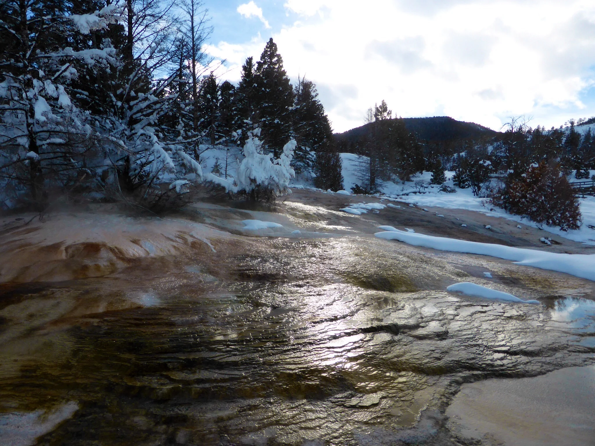 We did get a glimpse of the sun shining off Mammoth terraces.