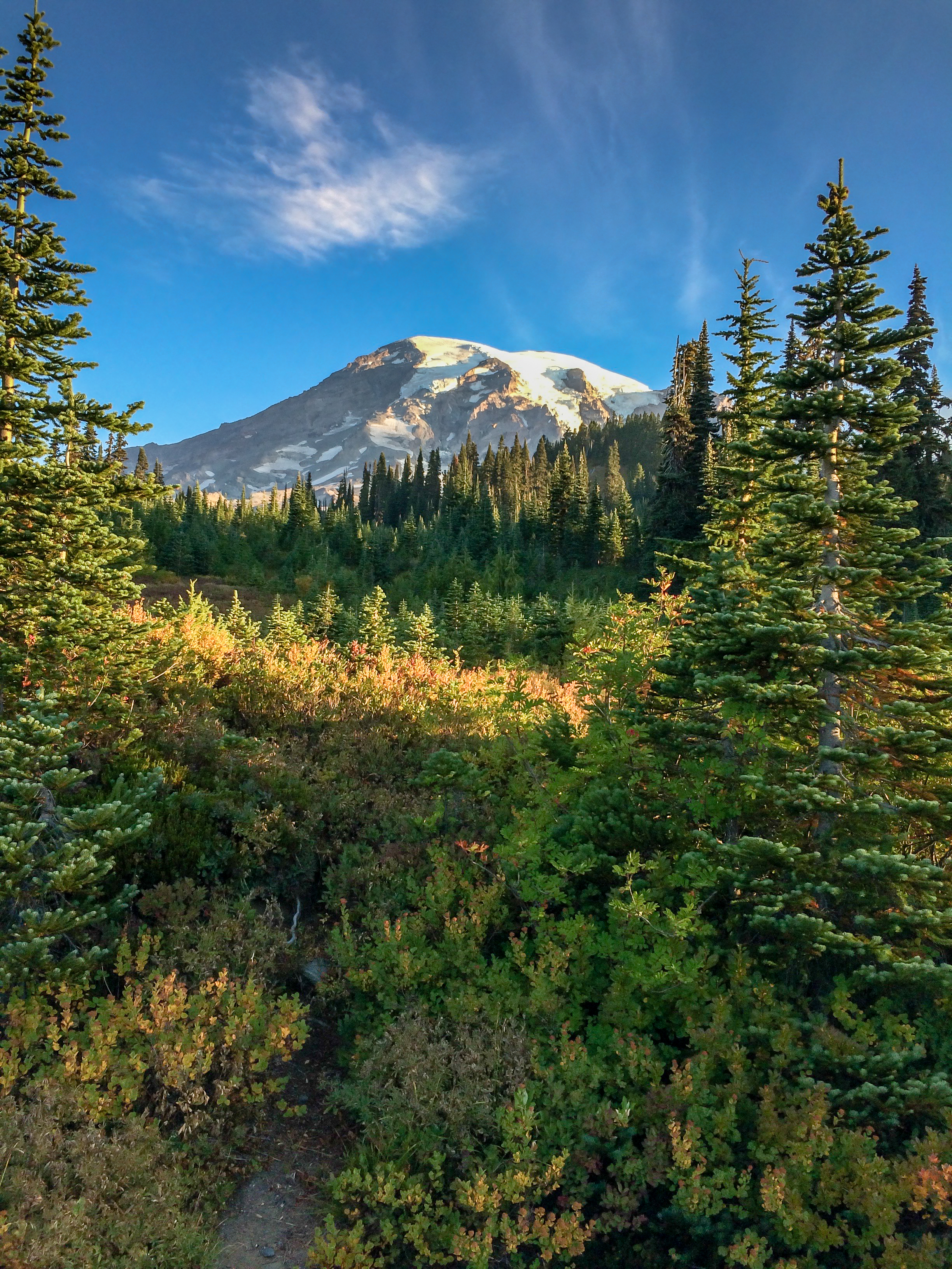 Mt Rainier NP