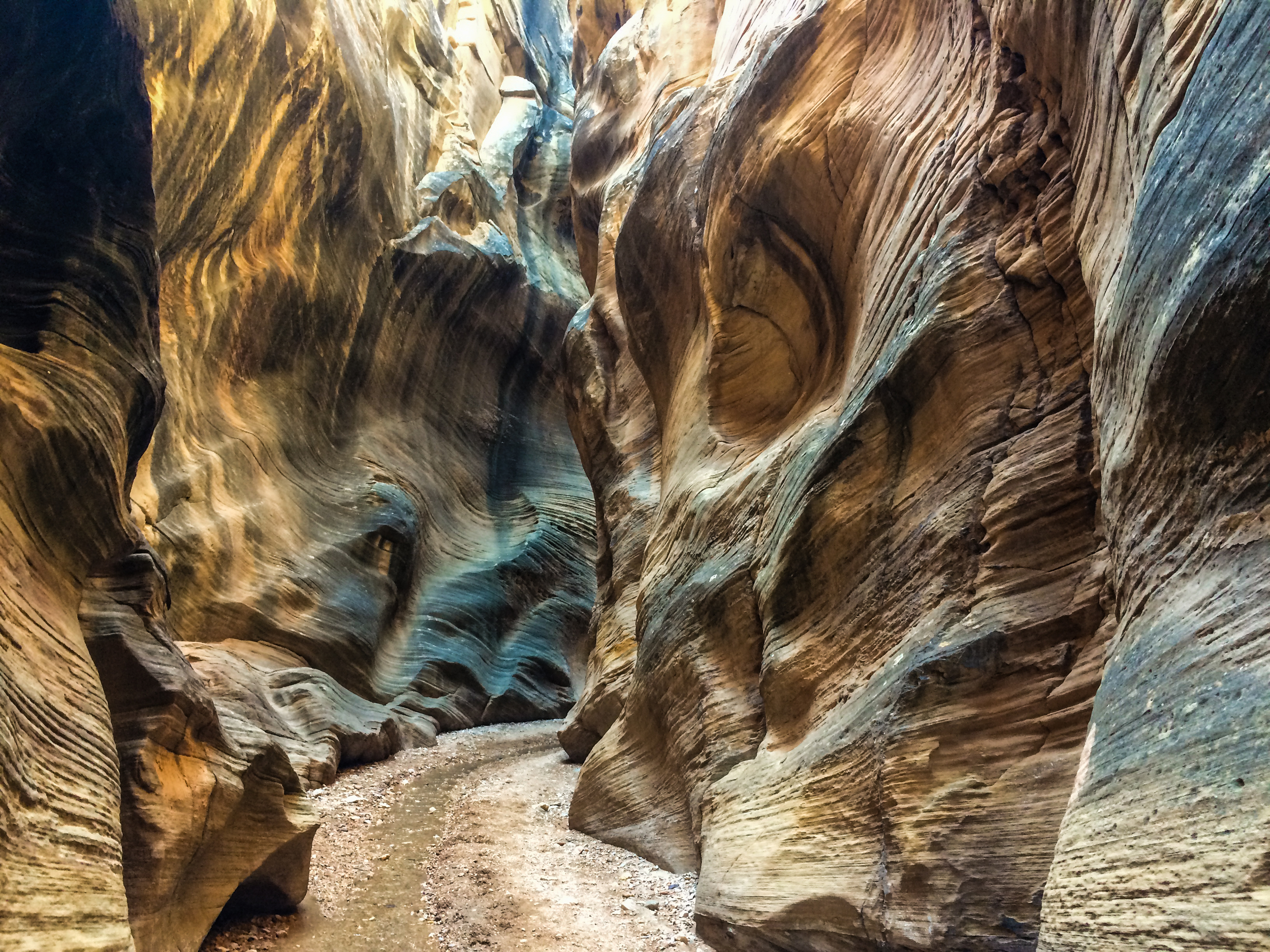 Willis Creek Canyon, GSENM