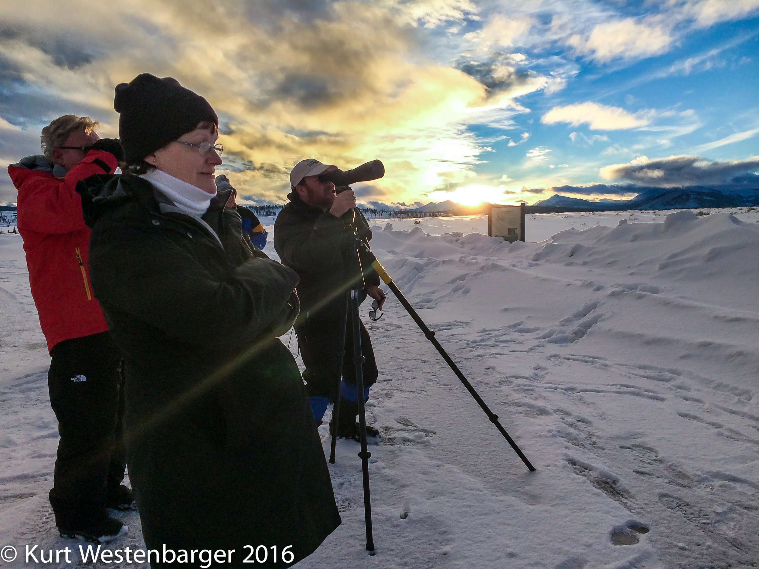 T0rn between watching coyotes and taking photos of sunset - Sometimes coyotes are more interesting.