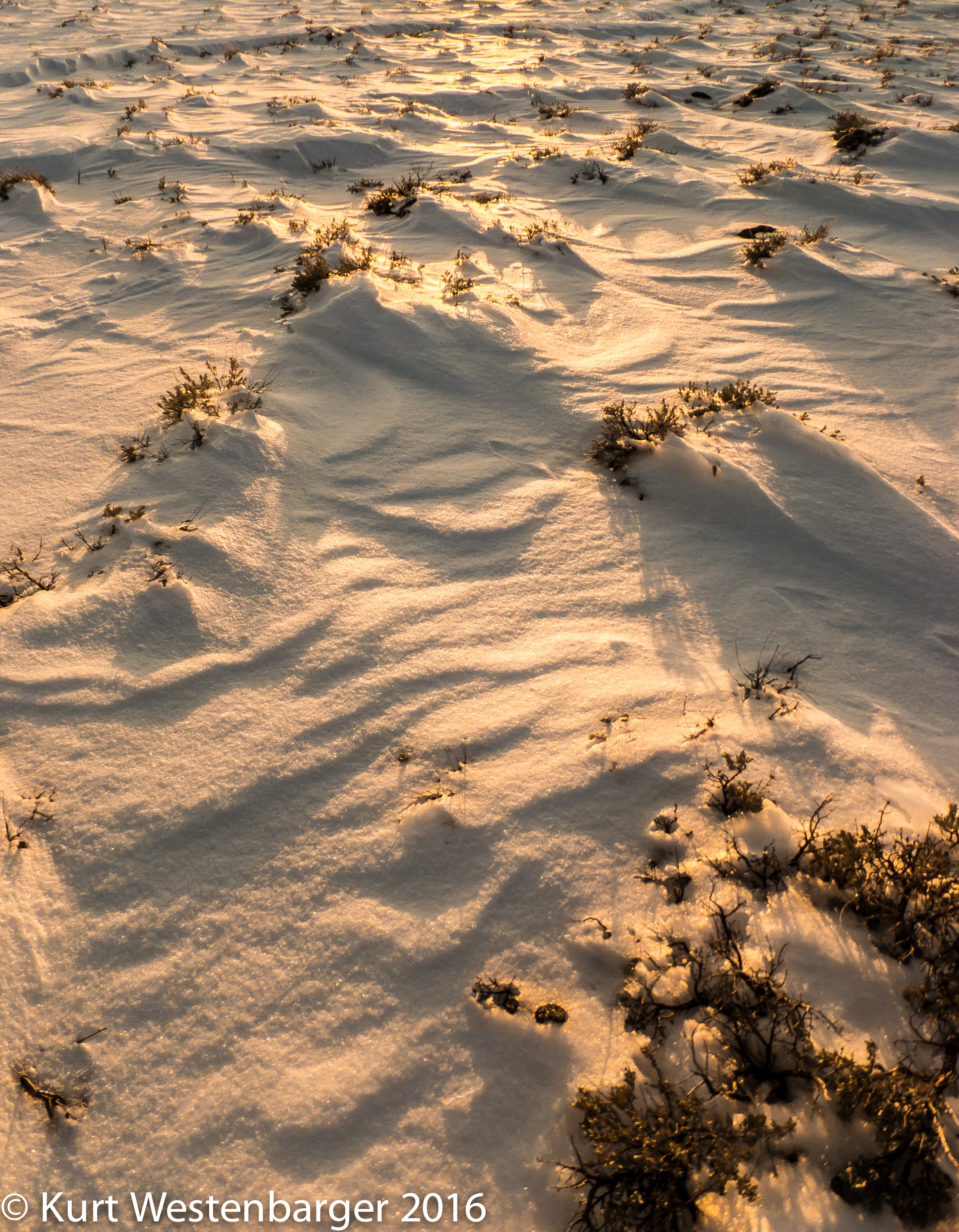  Snow patterns in sunset light.&nbsp;&nbsp;Fujifilm F900EXR 