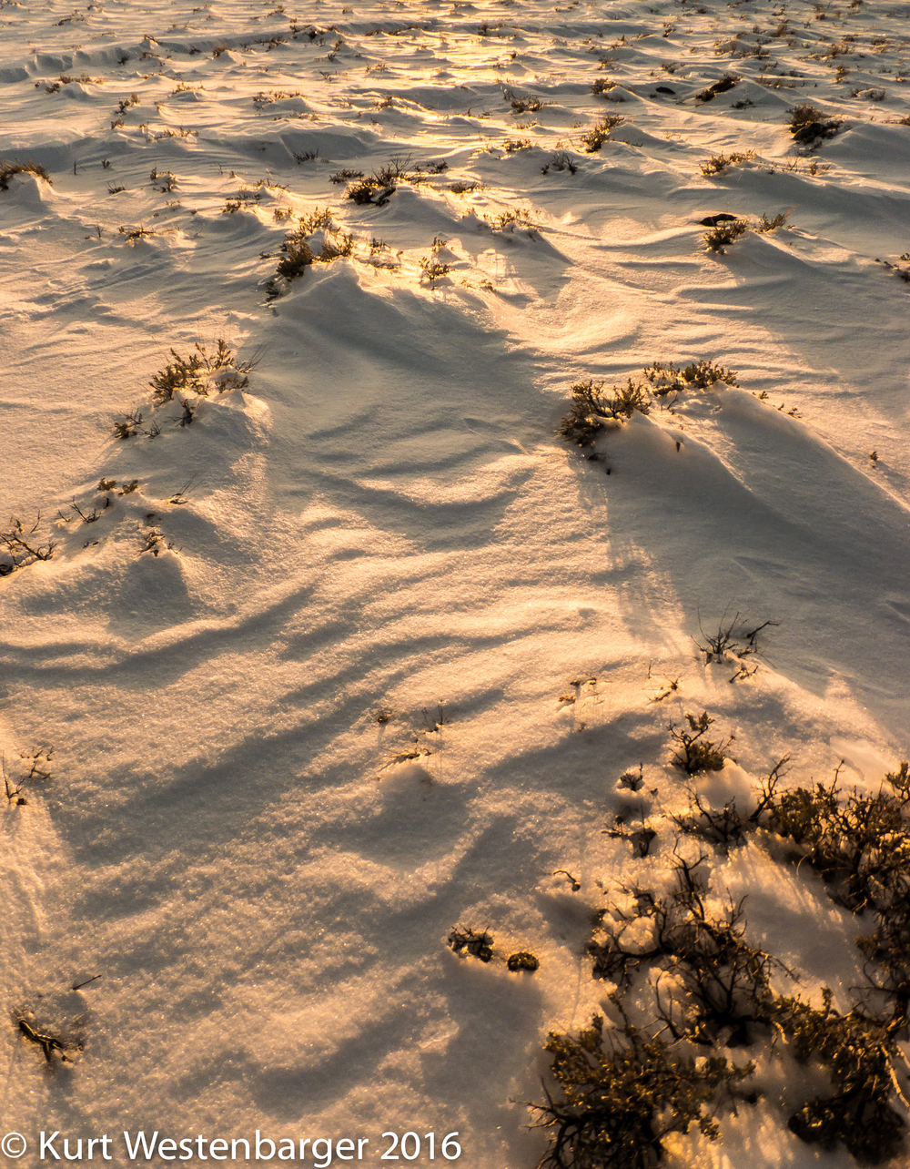  Snow patterns in sunset light.&nbsp;&nbsp;Fujifilm F900EXR 