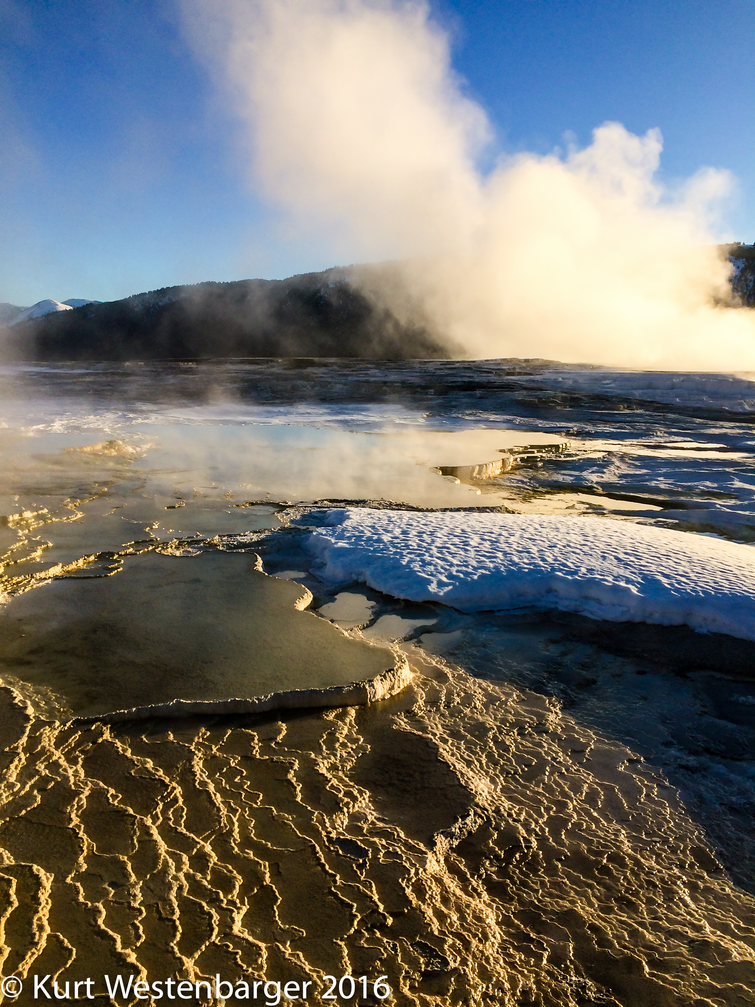 The top of Canary Terrace at Mammoth Hotsprings Terraces.