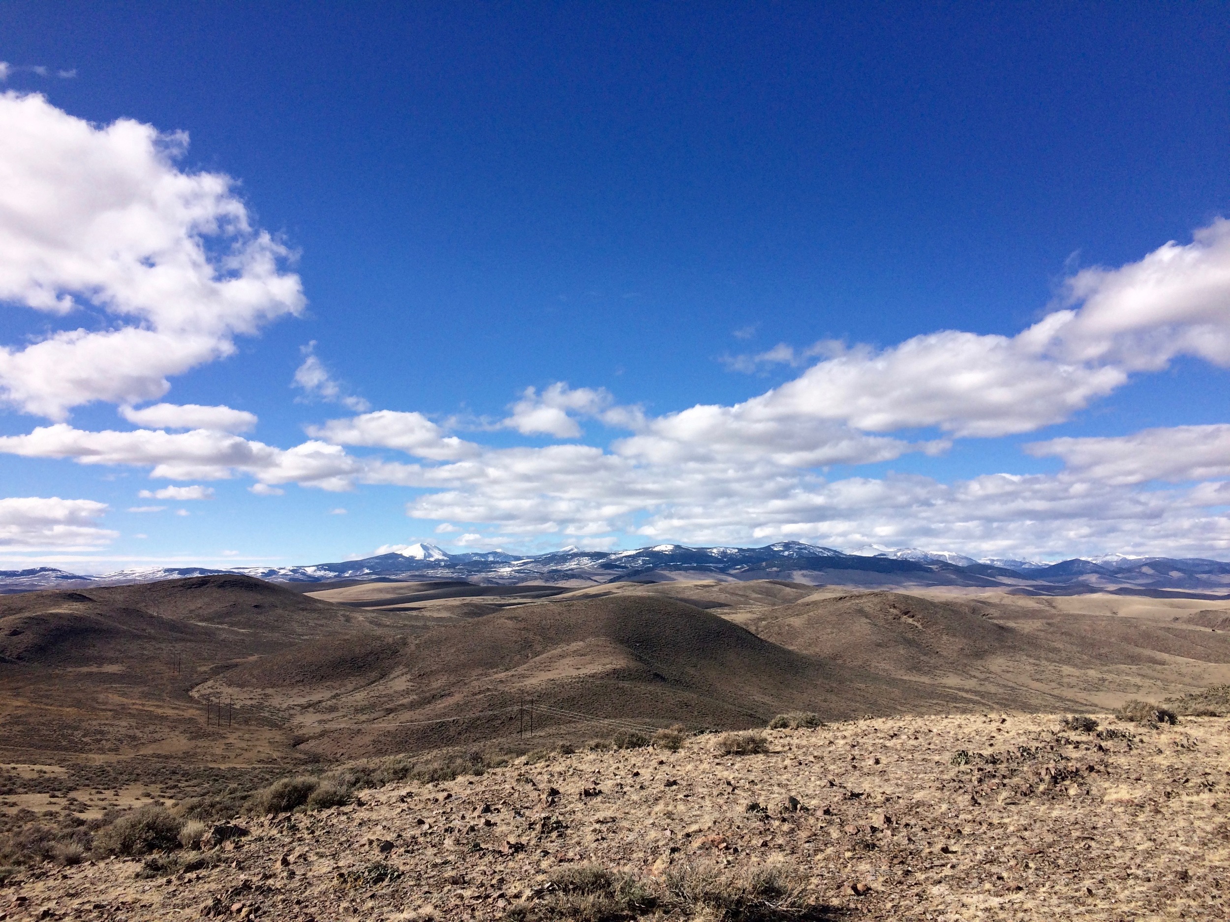 View from a recent walk on the Dillon Town Overlook Trail. Mount Baldy, the Pioneer Mountains, is on the horizon and likely to appear as a trail entry in this blog later in the year.