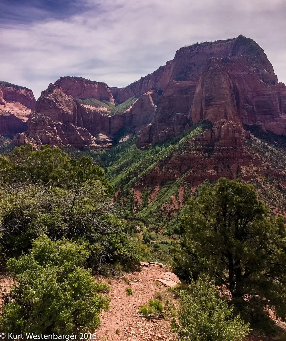 160514_Zion 051416_001.jpg