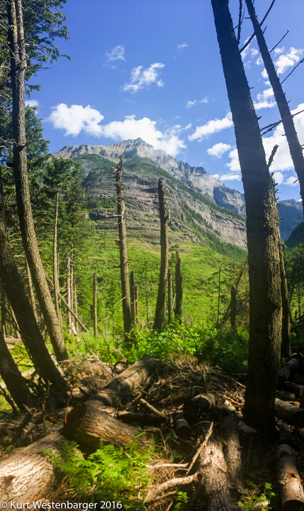 Glacier National Park 1