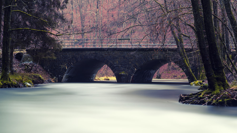 Bridge over Martin Molin