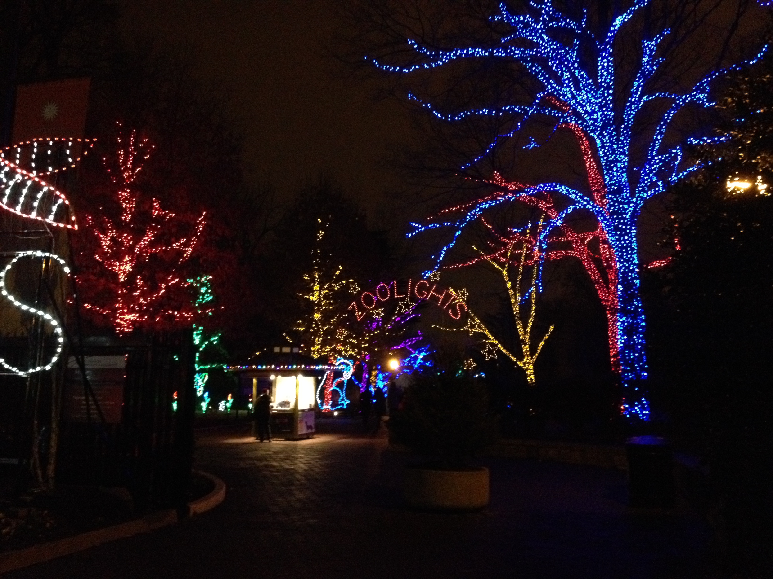 (75) What to Expect: Captaincy