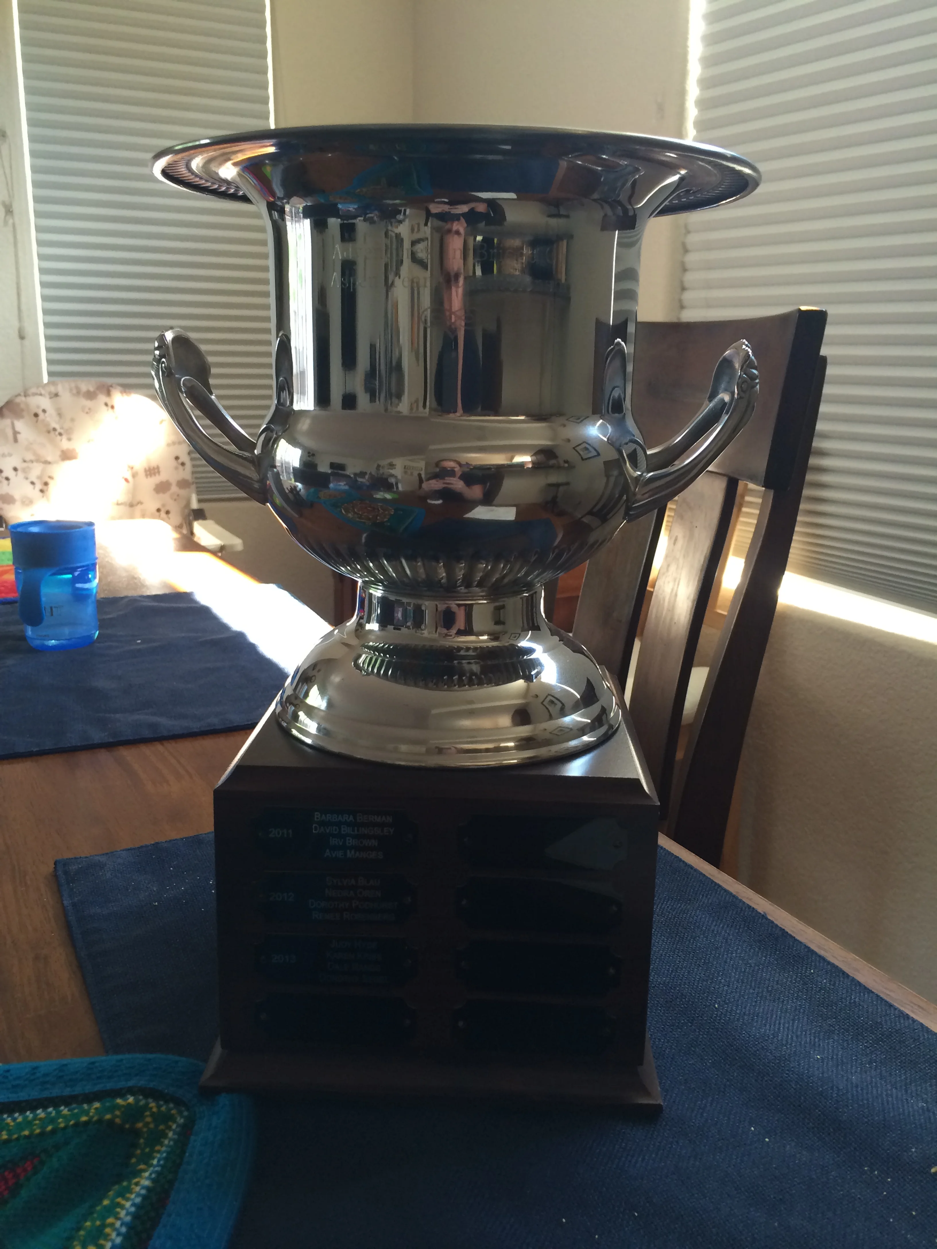 Aspen Team Championship Cup