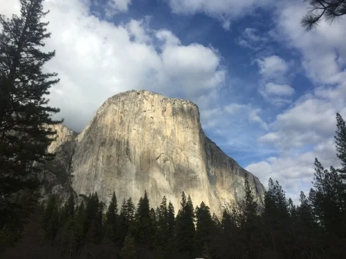 (107)  More Constructive Bidding:  Overcalling 4-card Suits