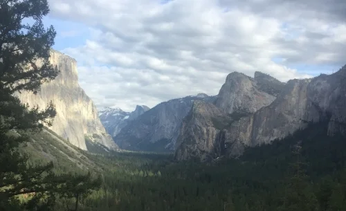 (108)  More Constructive Bidding:  Kokish Game Tries