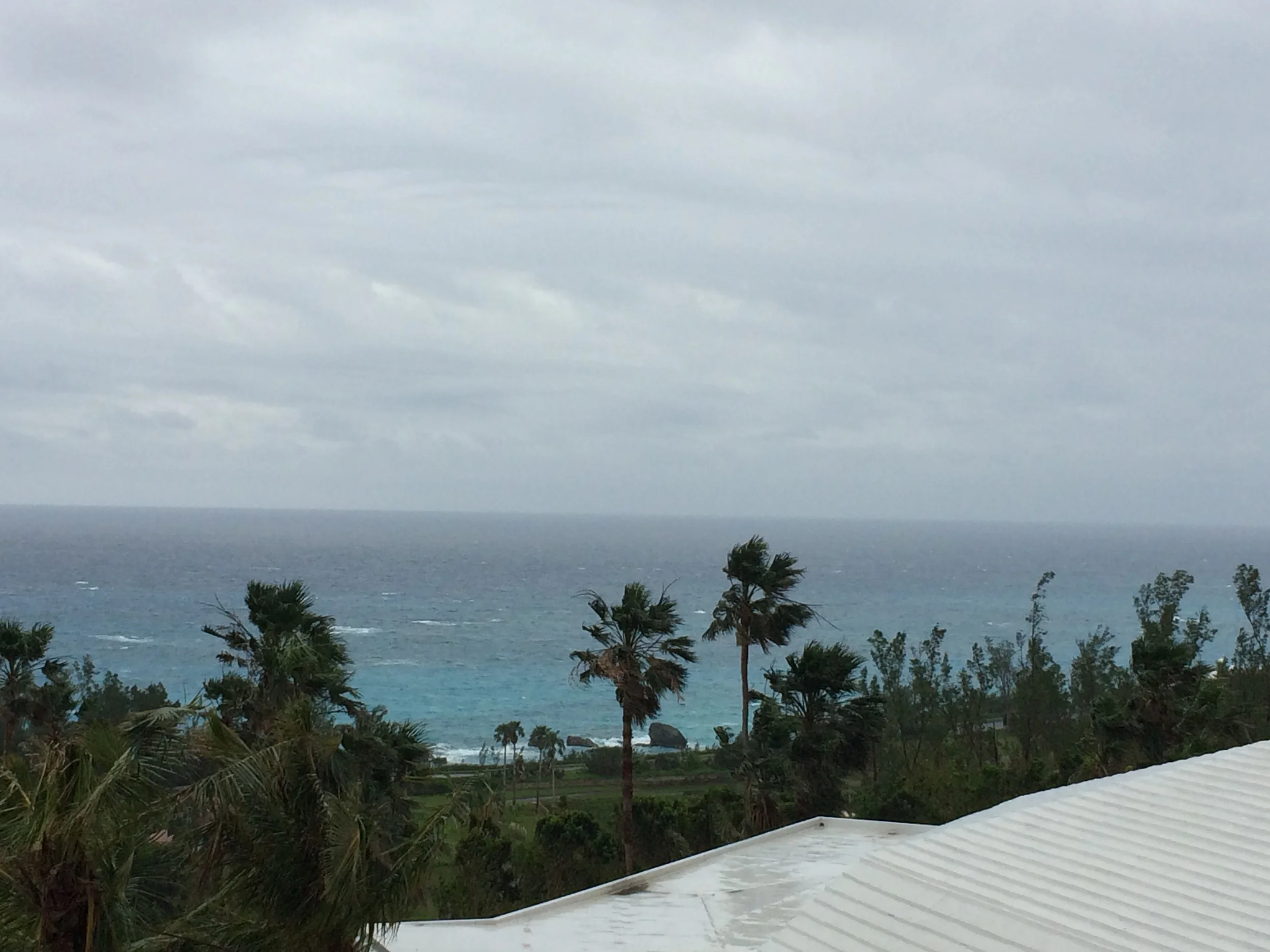 2015 Bermuda Bulletin Articles - "Attacking the Opponents - Misfits"