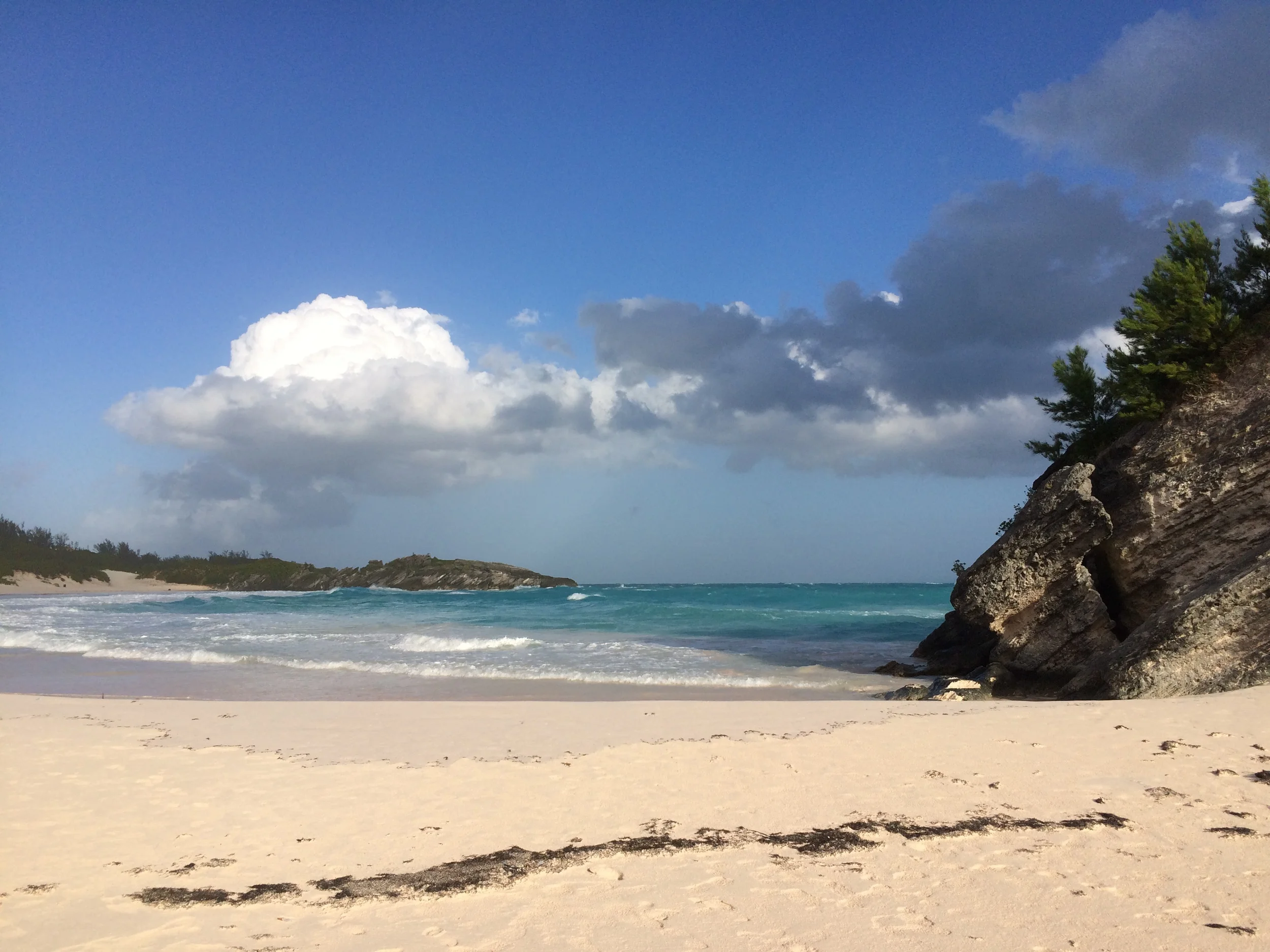 2015 Bermuda Bulletin Articles - "An Interesting End Position"