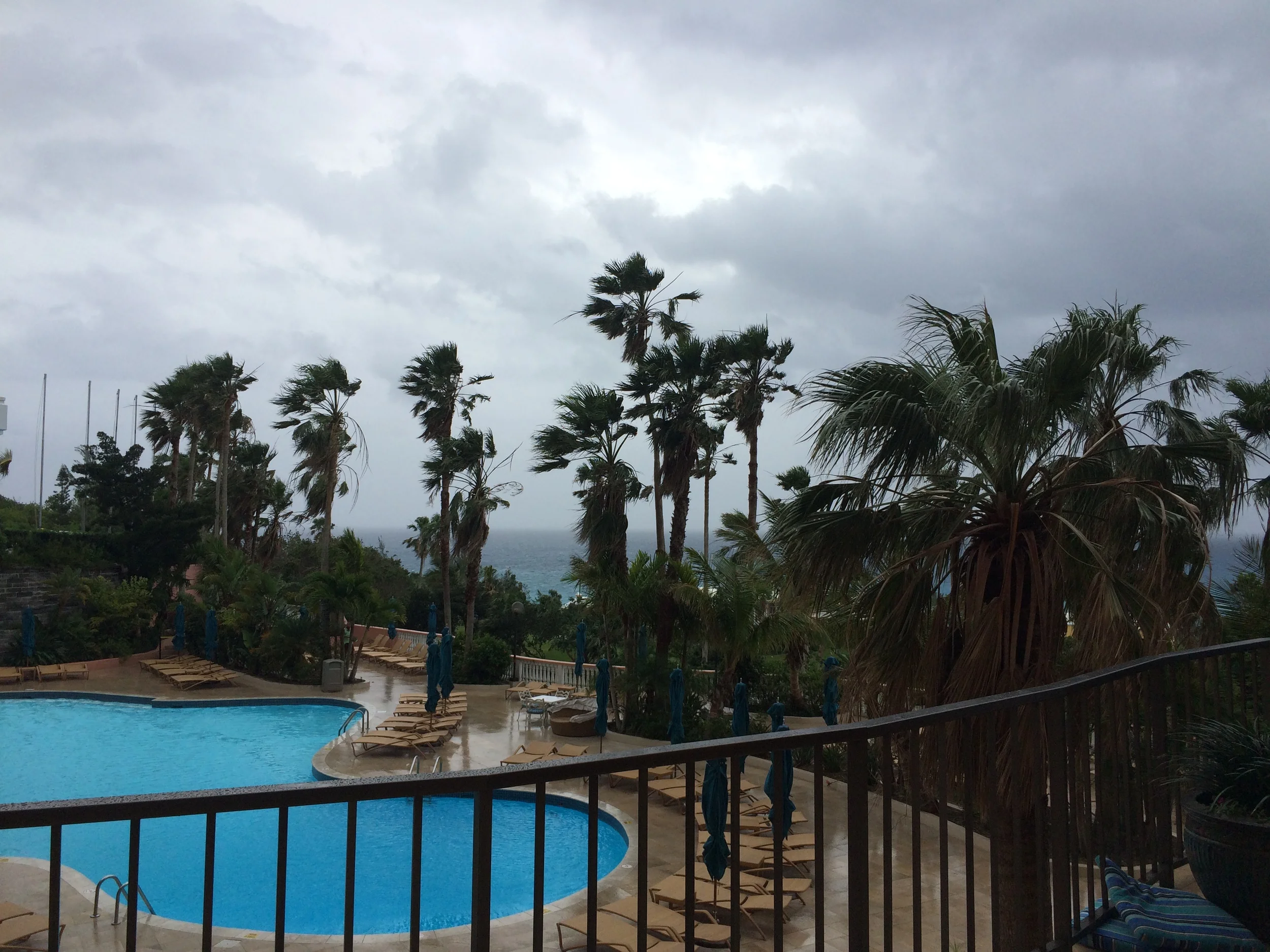 2015 Bermuda Bulletin Articles - "Judging Your Result"