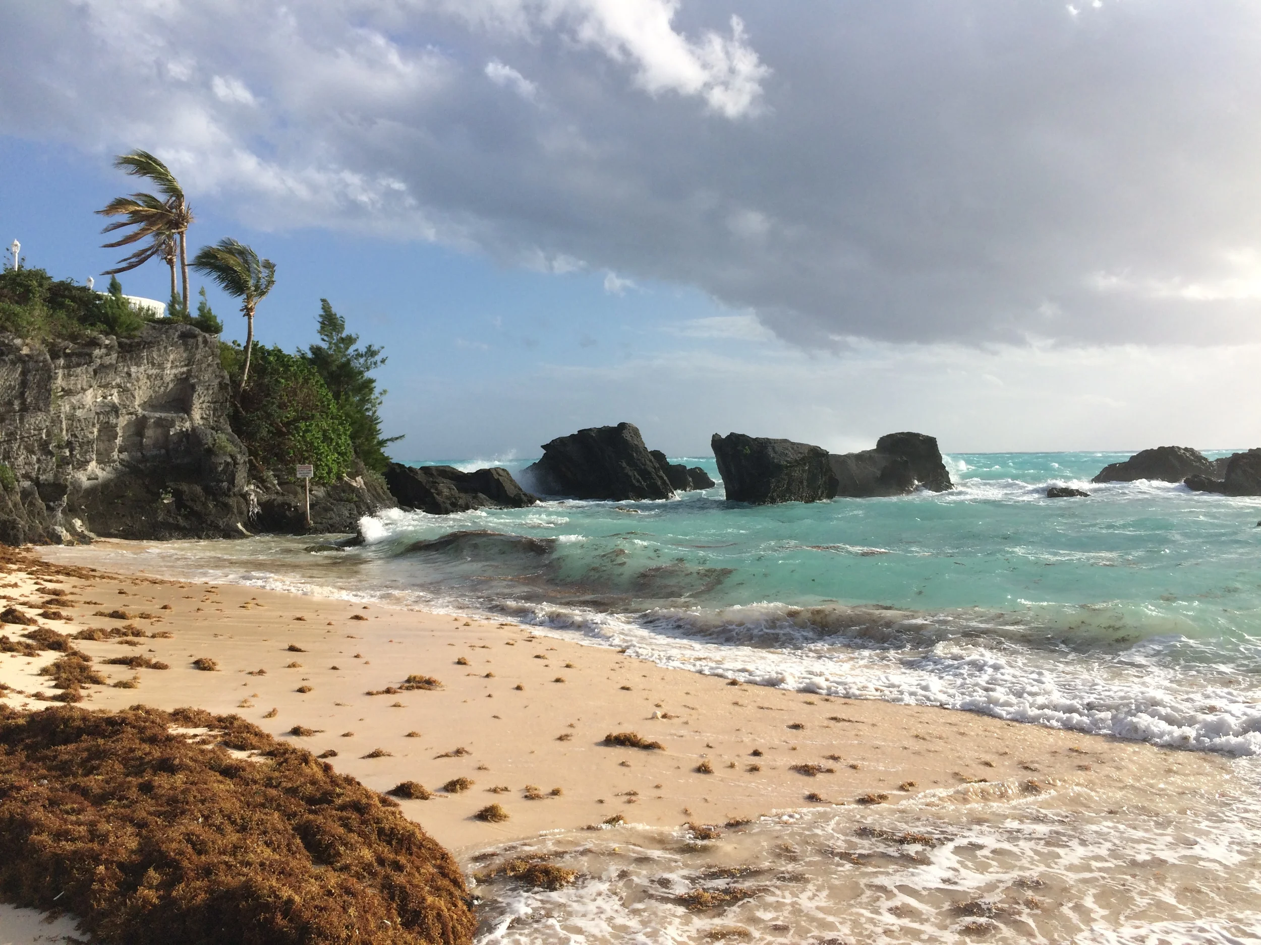 2015 Bermuda Bulletin Articles - "Just in Case It Makes"