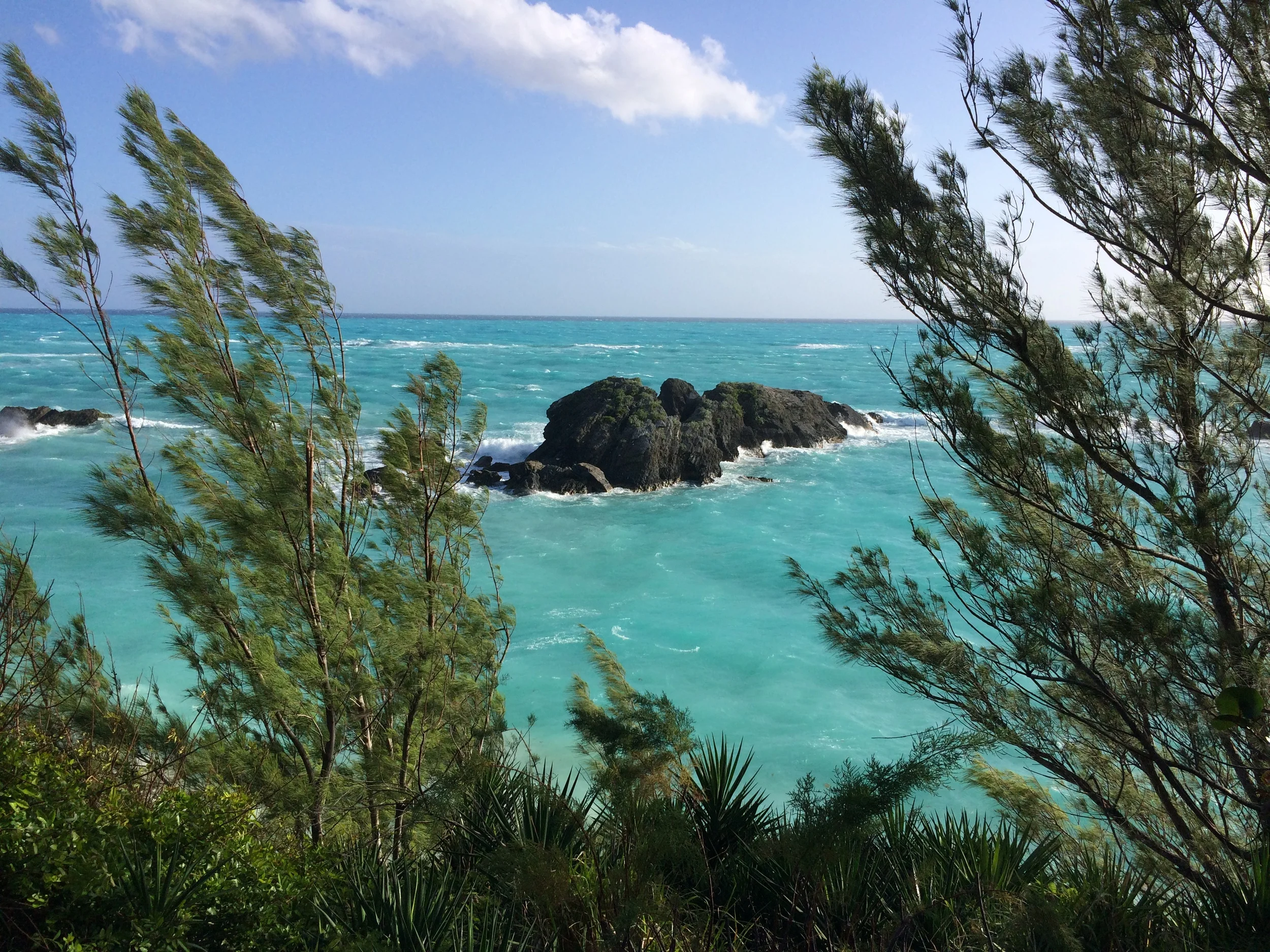 2015 Bermuda Bulletin Articles - "Championship Slam"