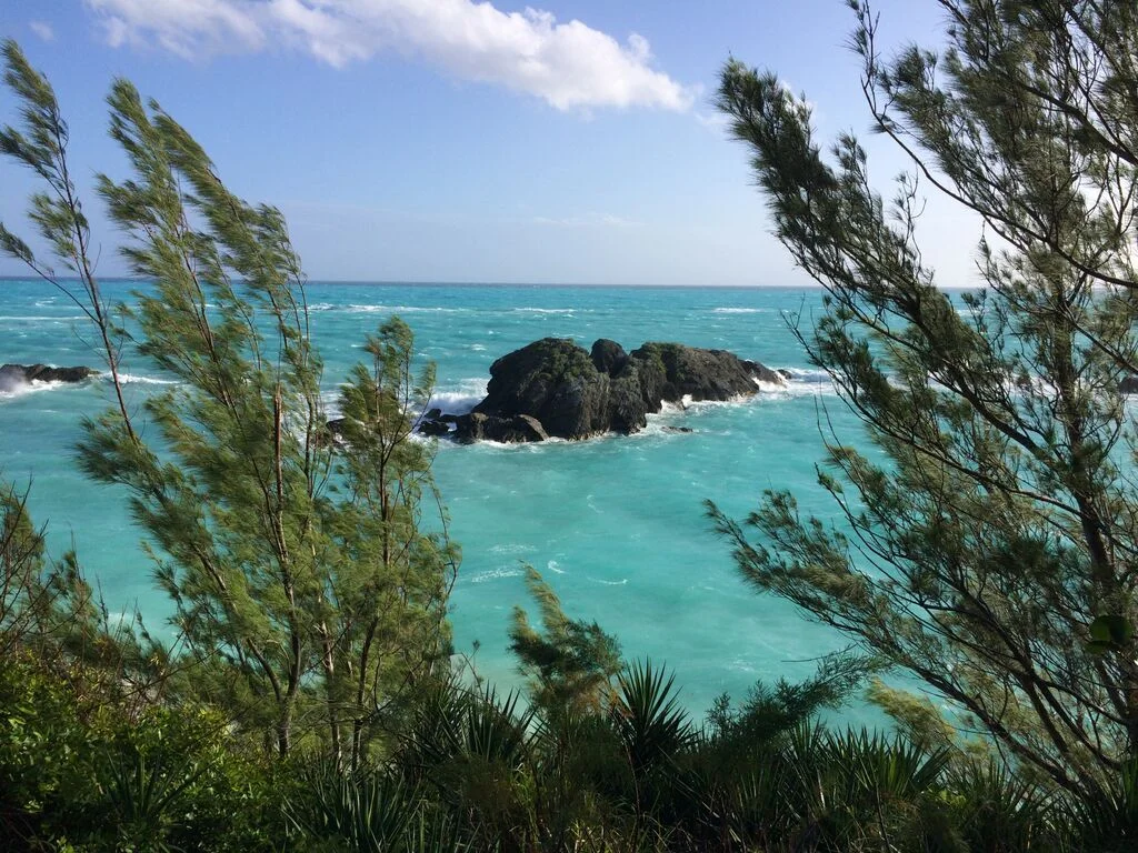Bermuda Boulders, January 2015