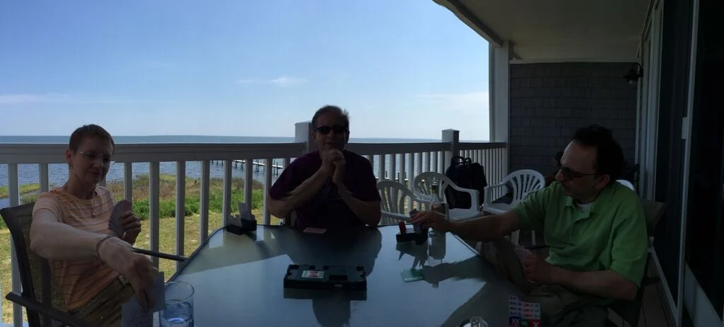 Bridge at the Beach, Summer 2015
