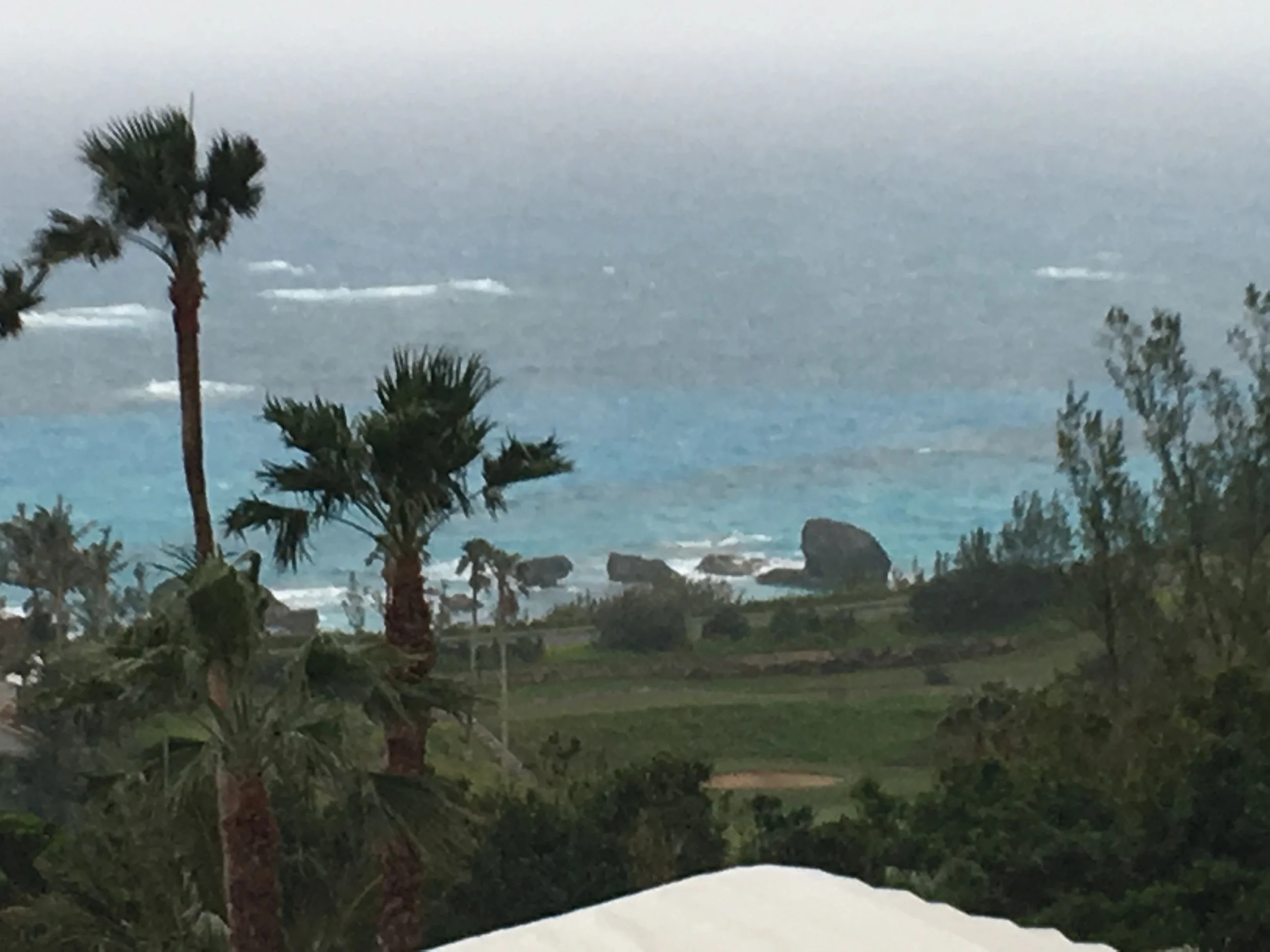 2016 Bermuda Bulletin Articles - "Jumping Up!"