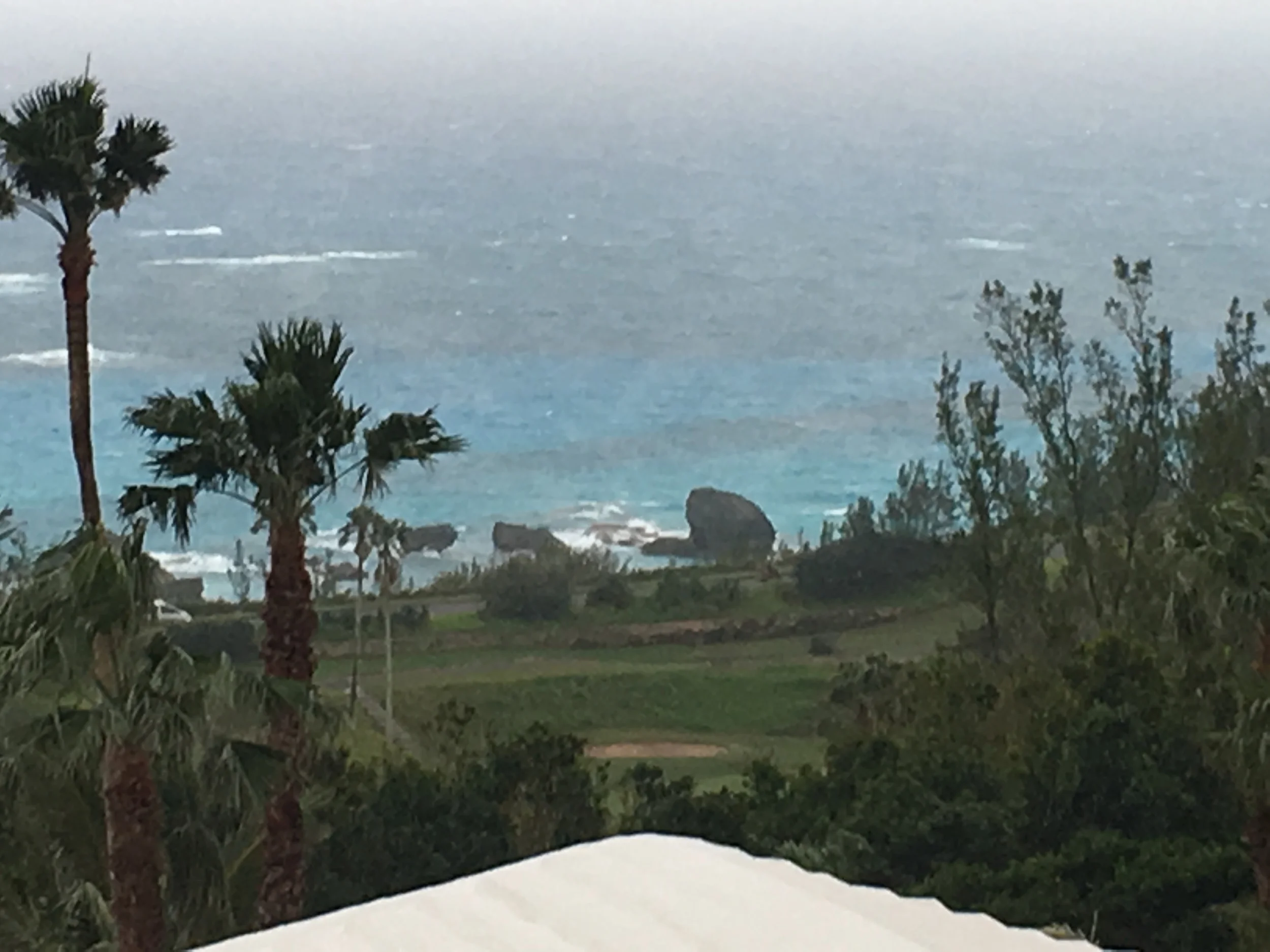 2016 Bermuda Bulletin Articles - "Careful Card Play for Everyone"