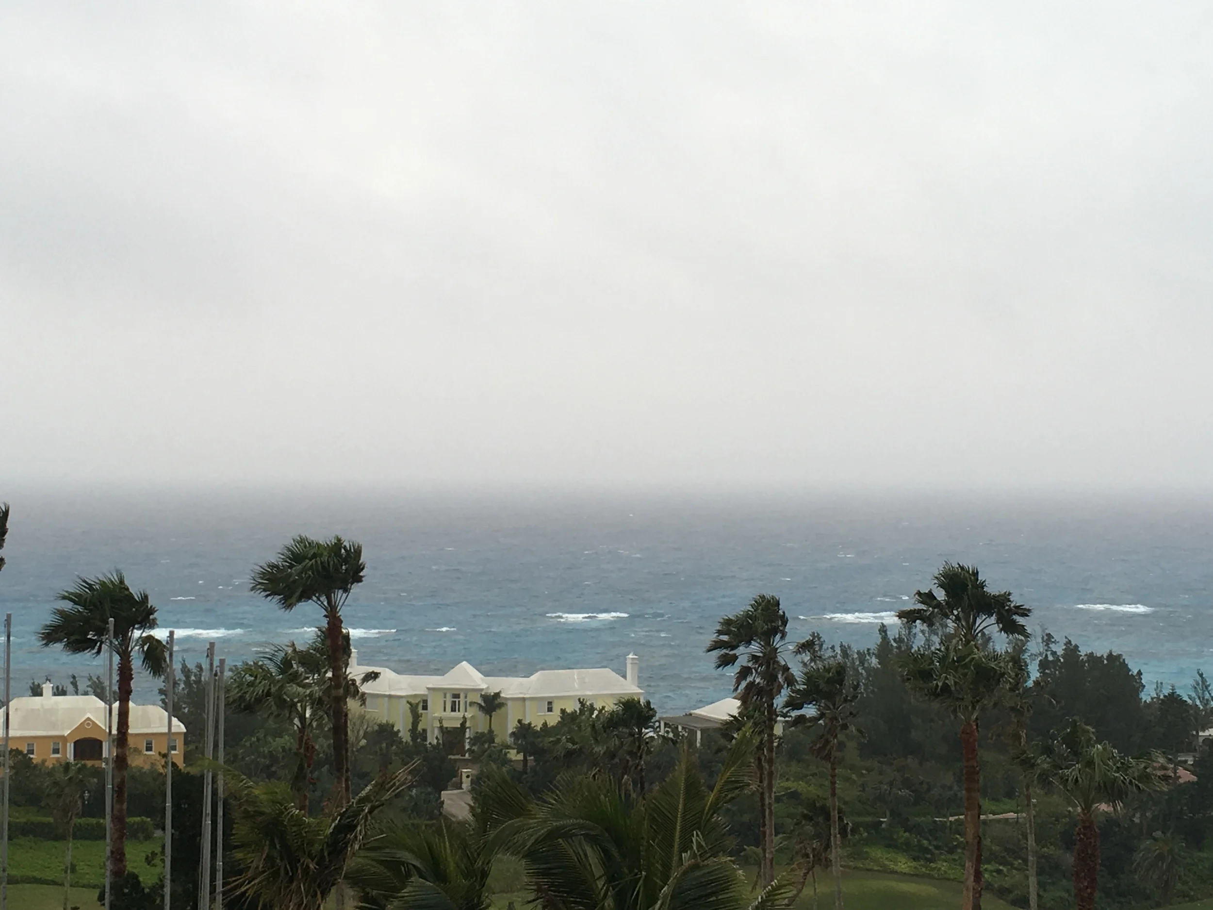 2016 Bermuda Bulletin Articles - "Not as Easy as It Looks"
