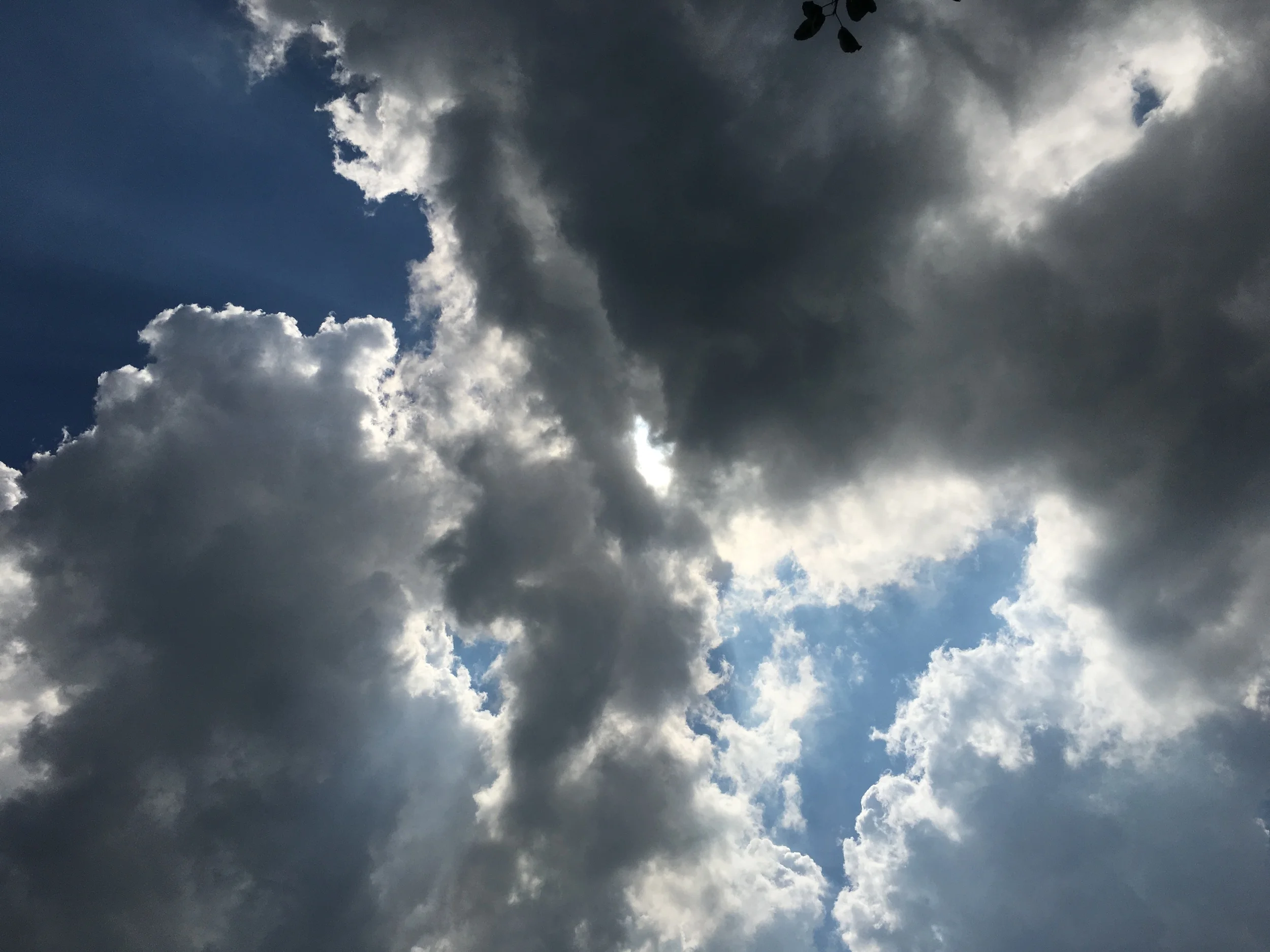 (170)  Notrump Fundamentals:  They X Our Transfer