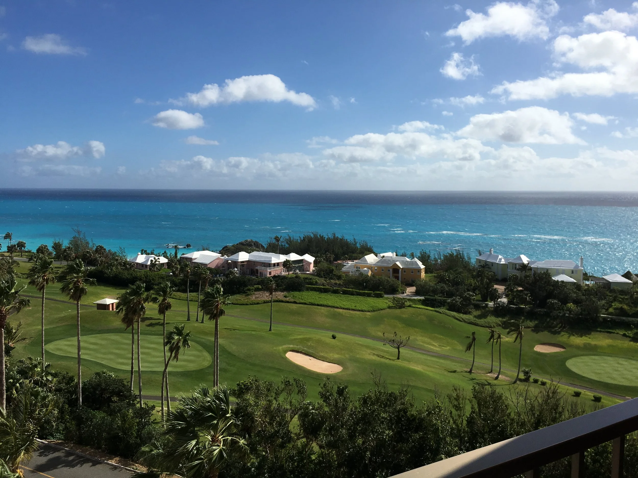 2017-01-26 12.42.26.jpg