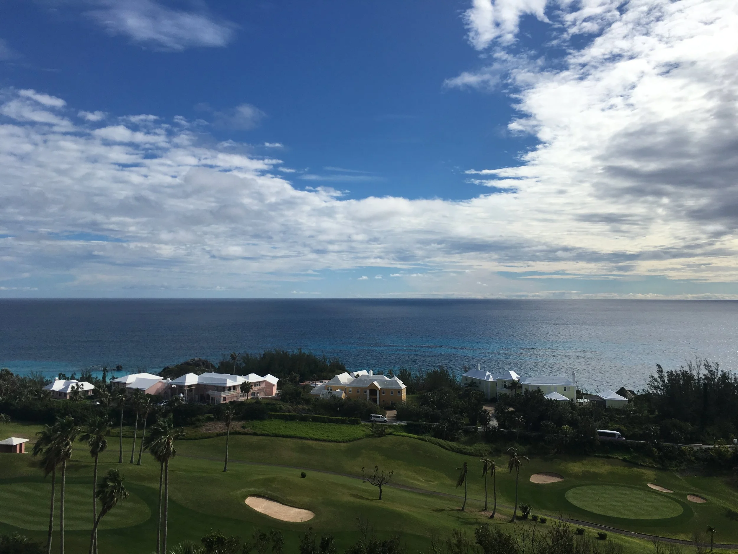 2017 Bermuda Bulletin Articles - "What Does Partner Have?"