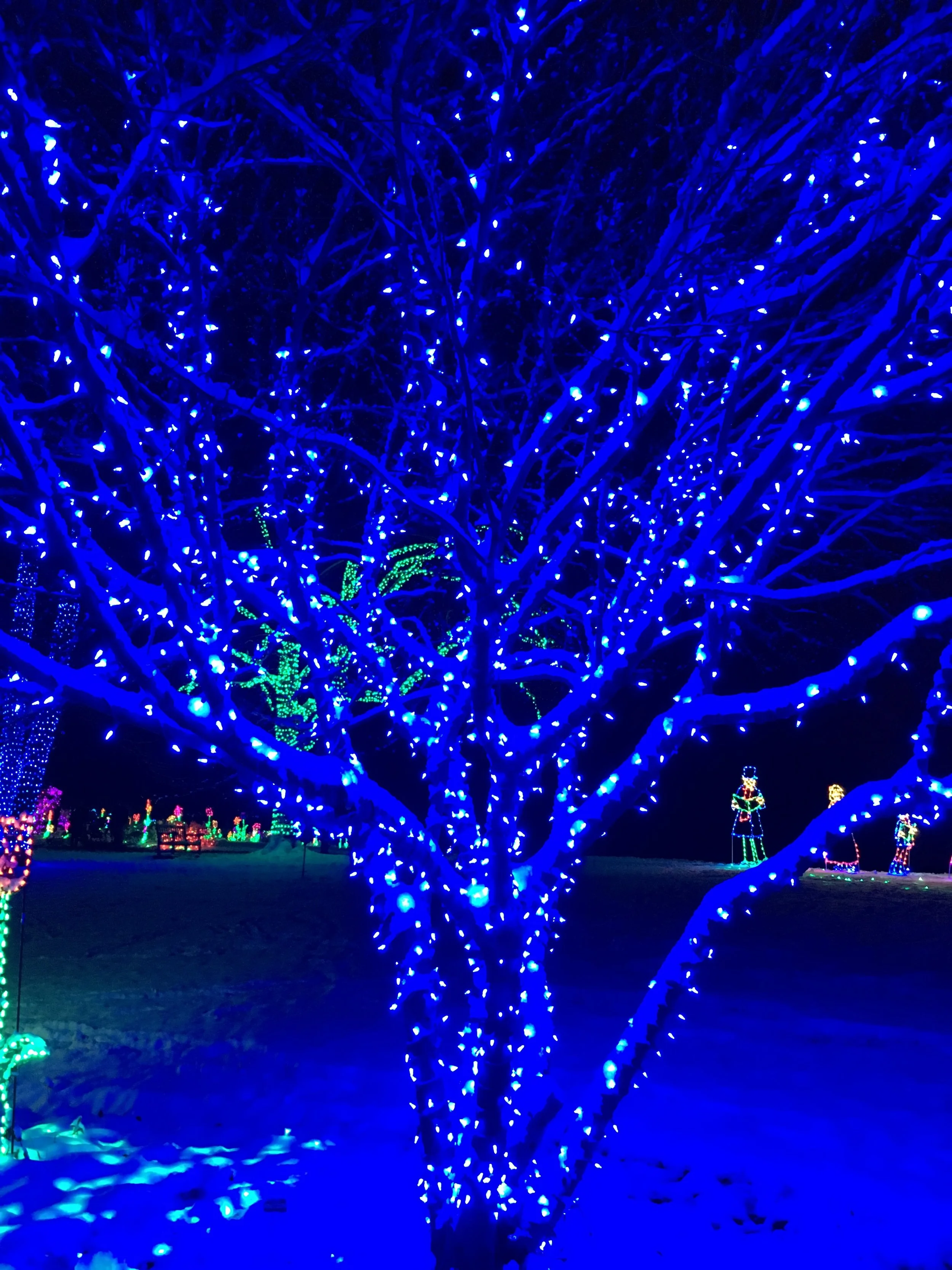 (219) Partnership Discussions - Understanding Partner's Style