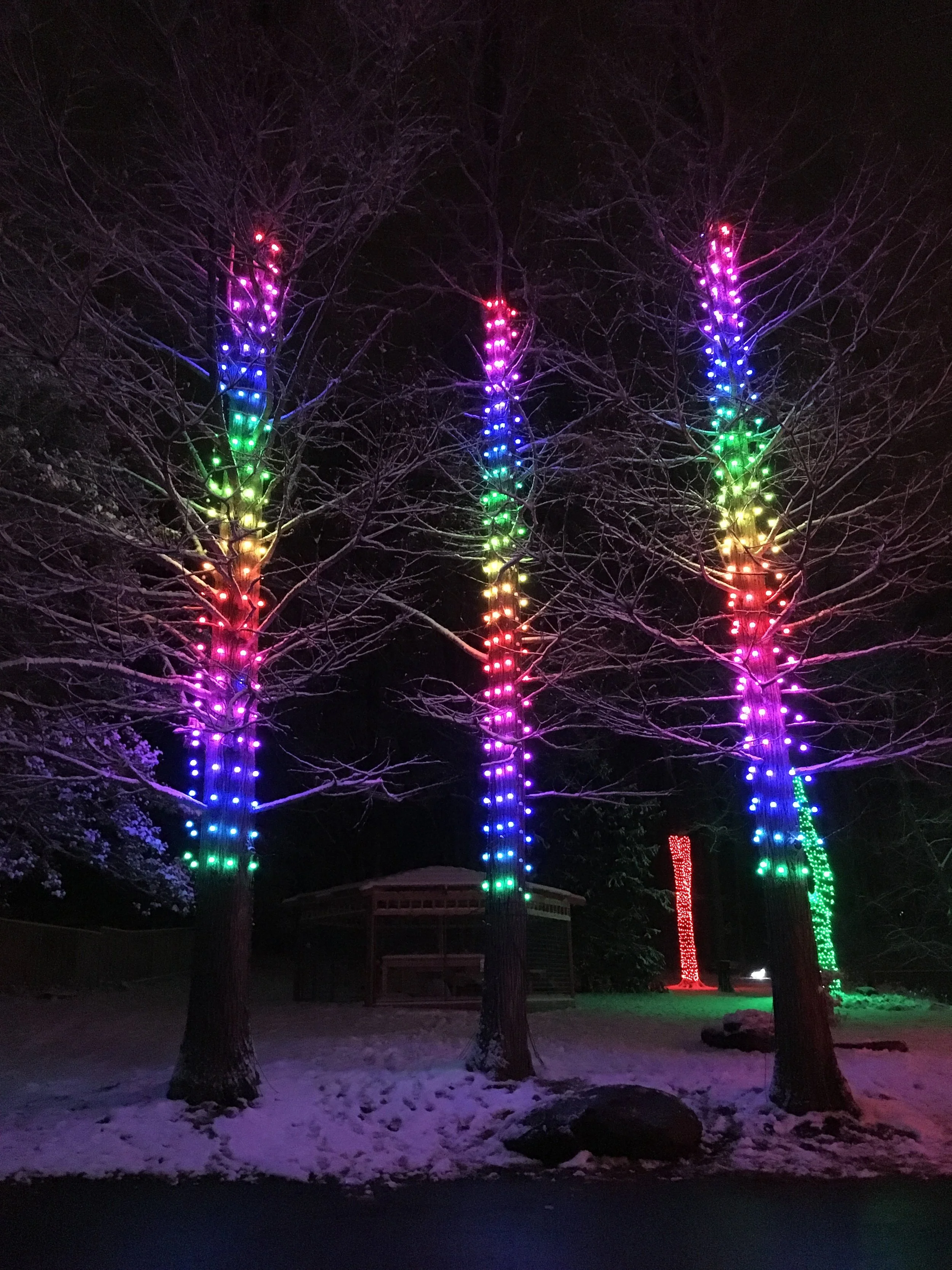 (221) Corrective vs. Forward-Going Bids