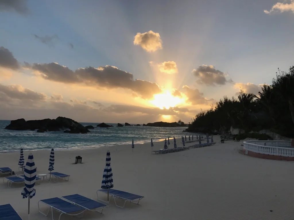 2018 Bermuda Bulletin Articles: "Tricks are Tricks"