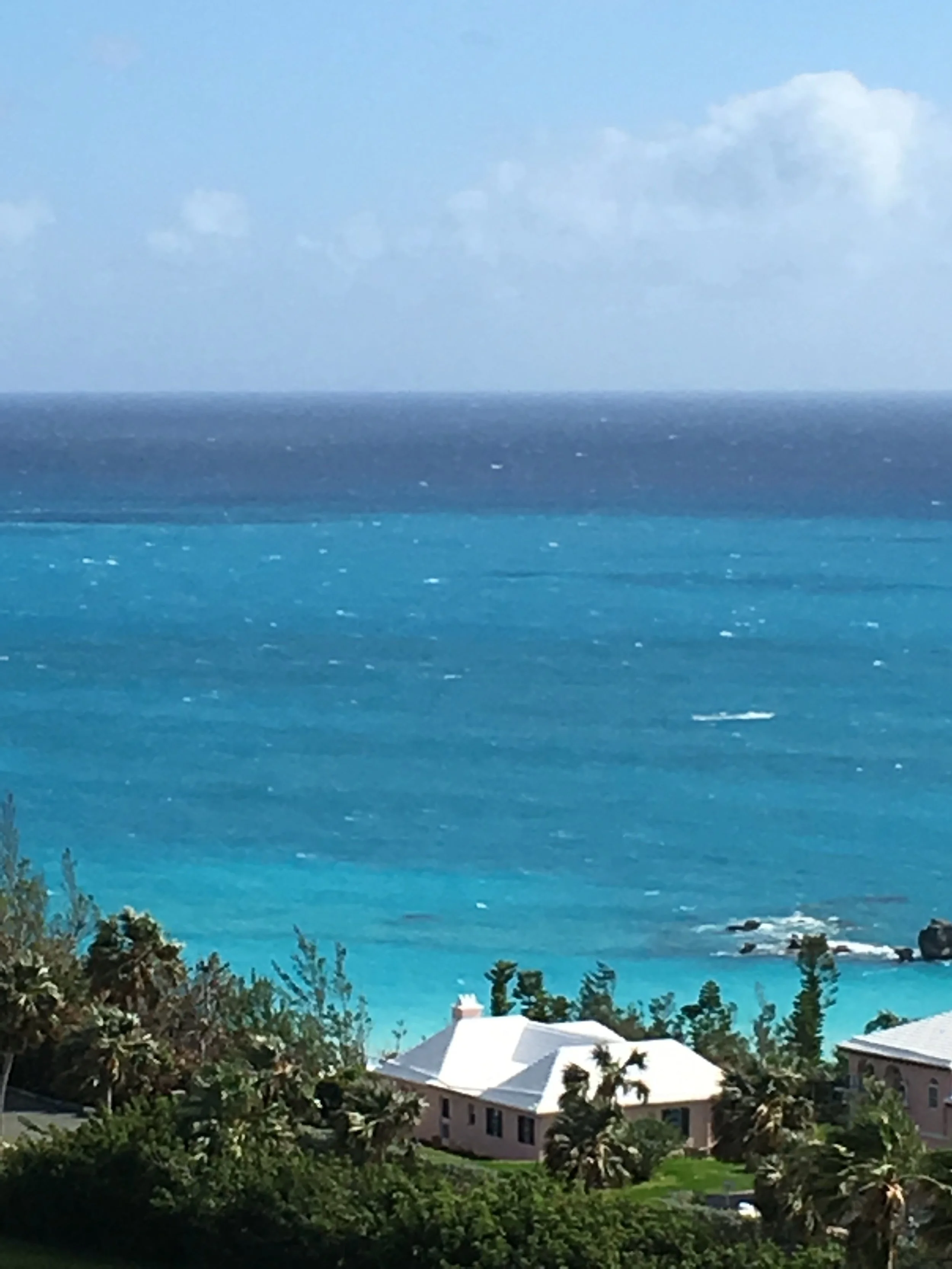 2018 Bermuda Bulletin Articles: "The Devil is in the Details" 
