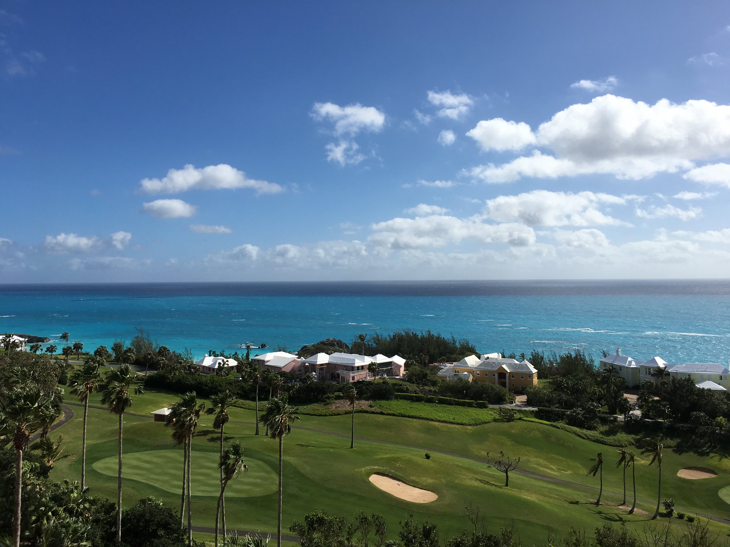 2018 Bermuda Bulletin Articles: "Don't Count Your Chickens Before They Hatch"