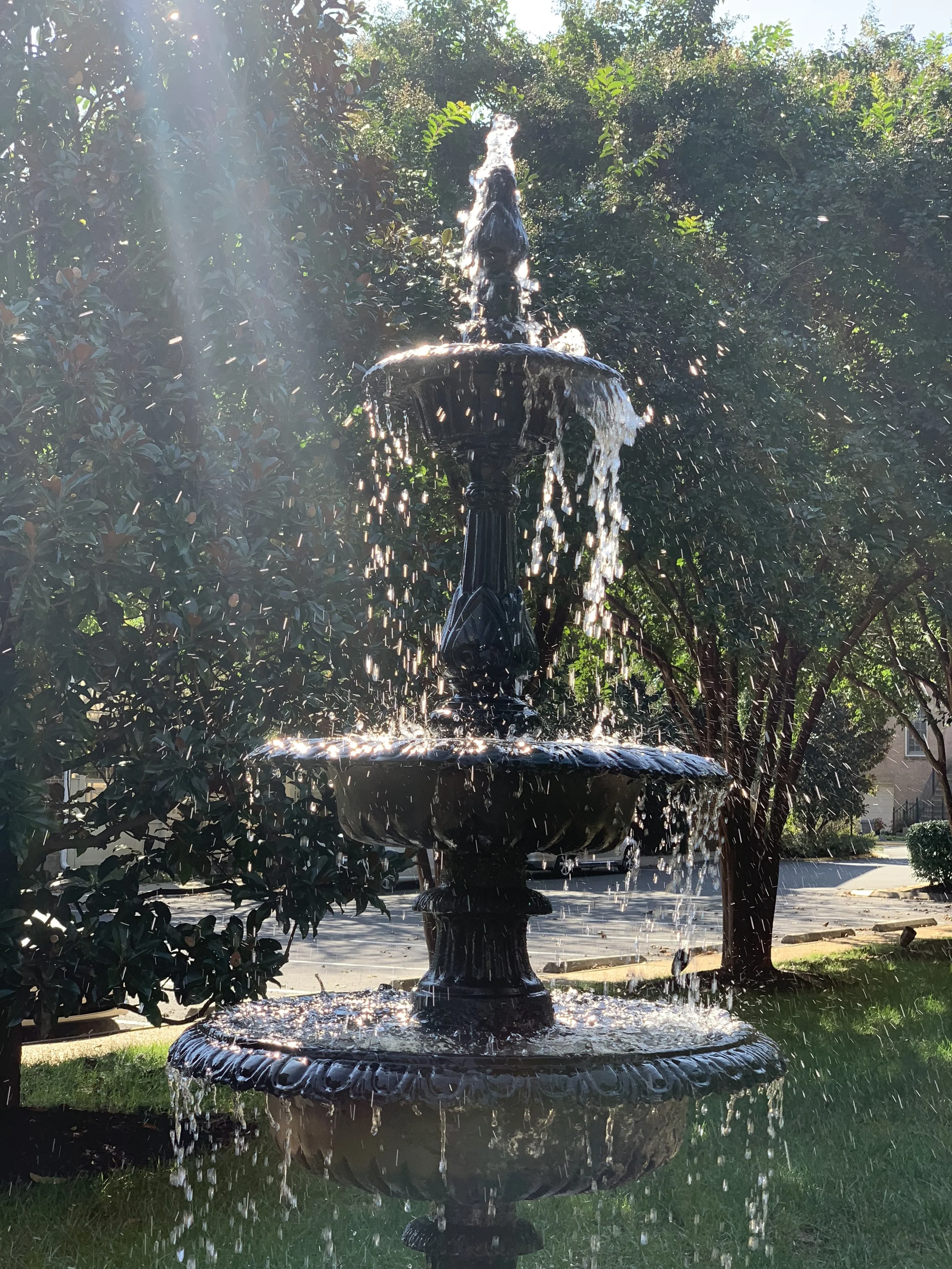 (257) Reverse Flannery 