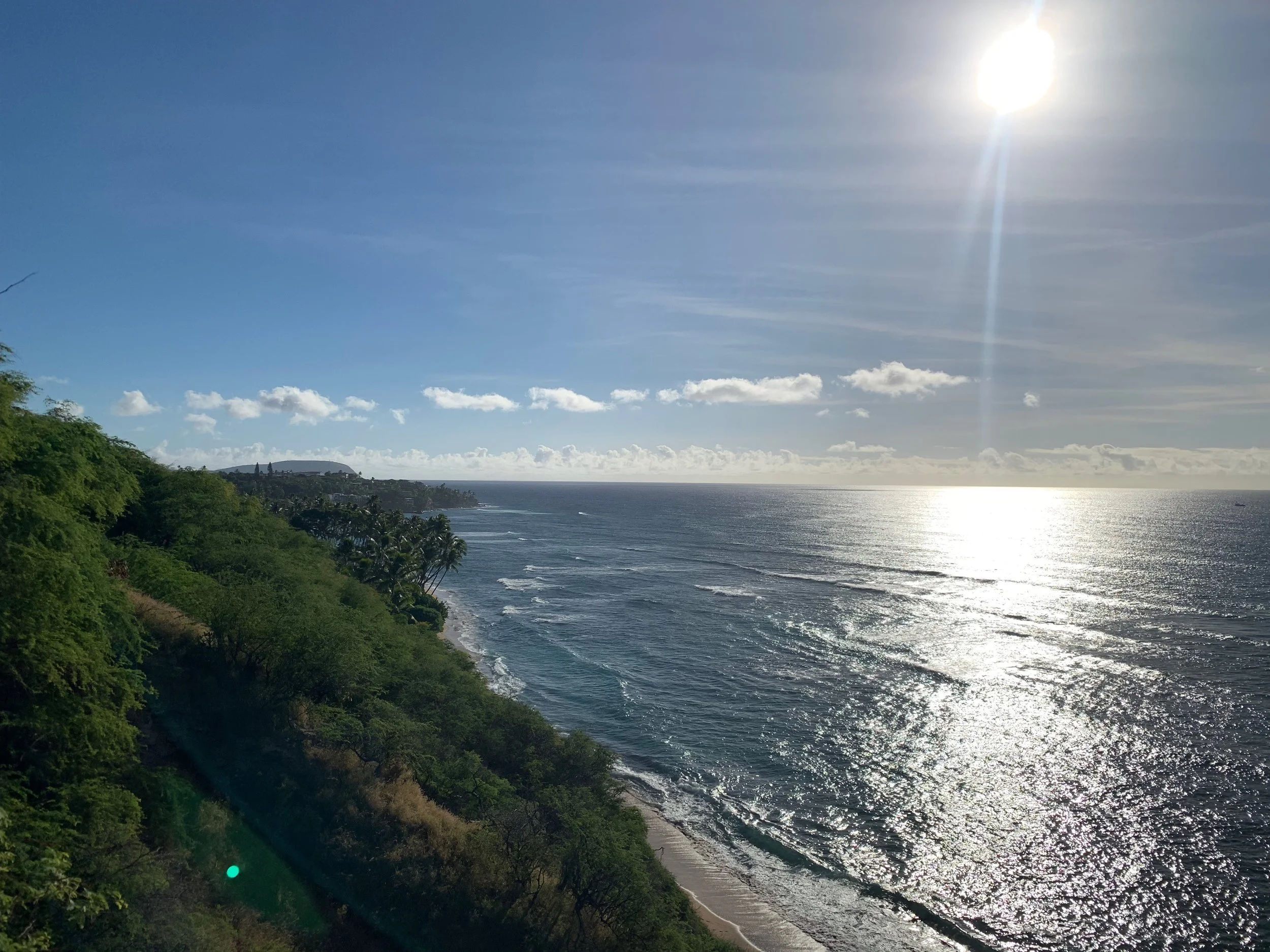 (259) Counting a Suit Effectively