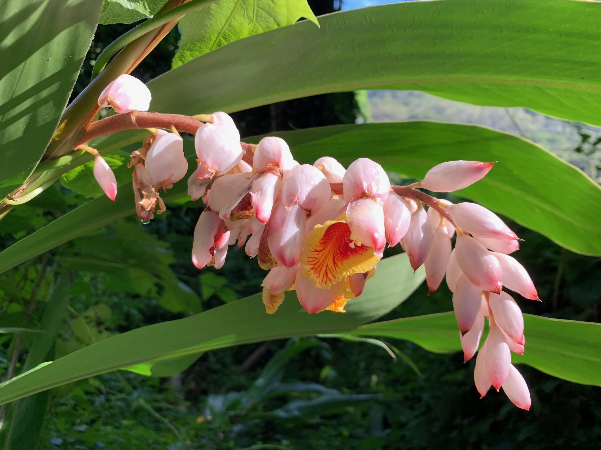 (260) Counting and Putting It All Together